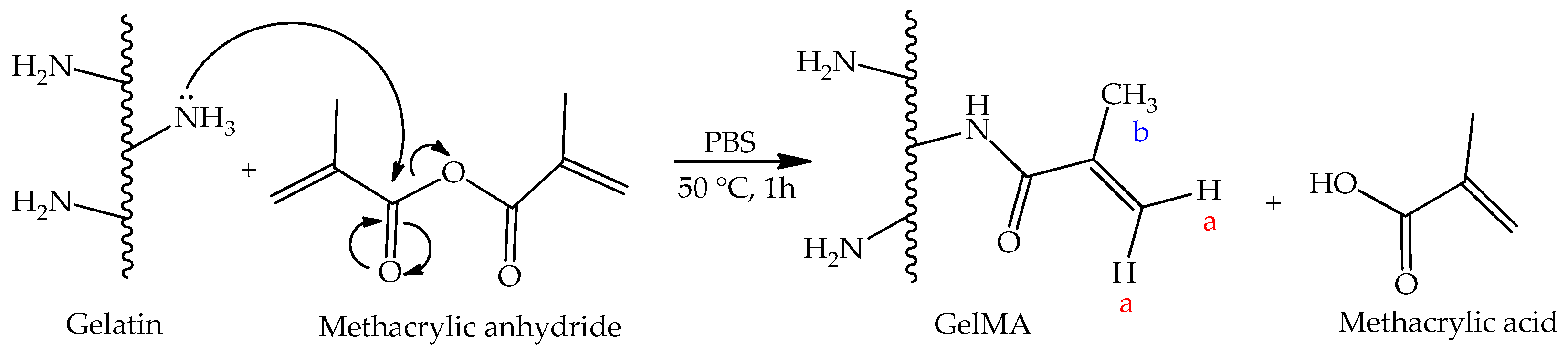 Polymers 15 01674 g001 Polymers 15 01674 g001