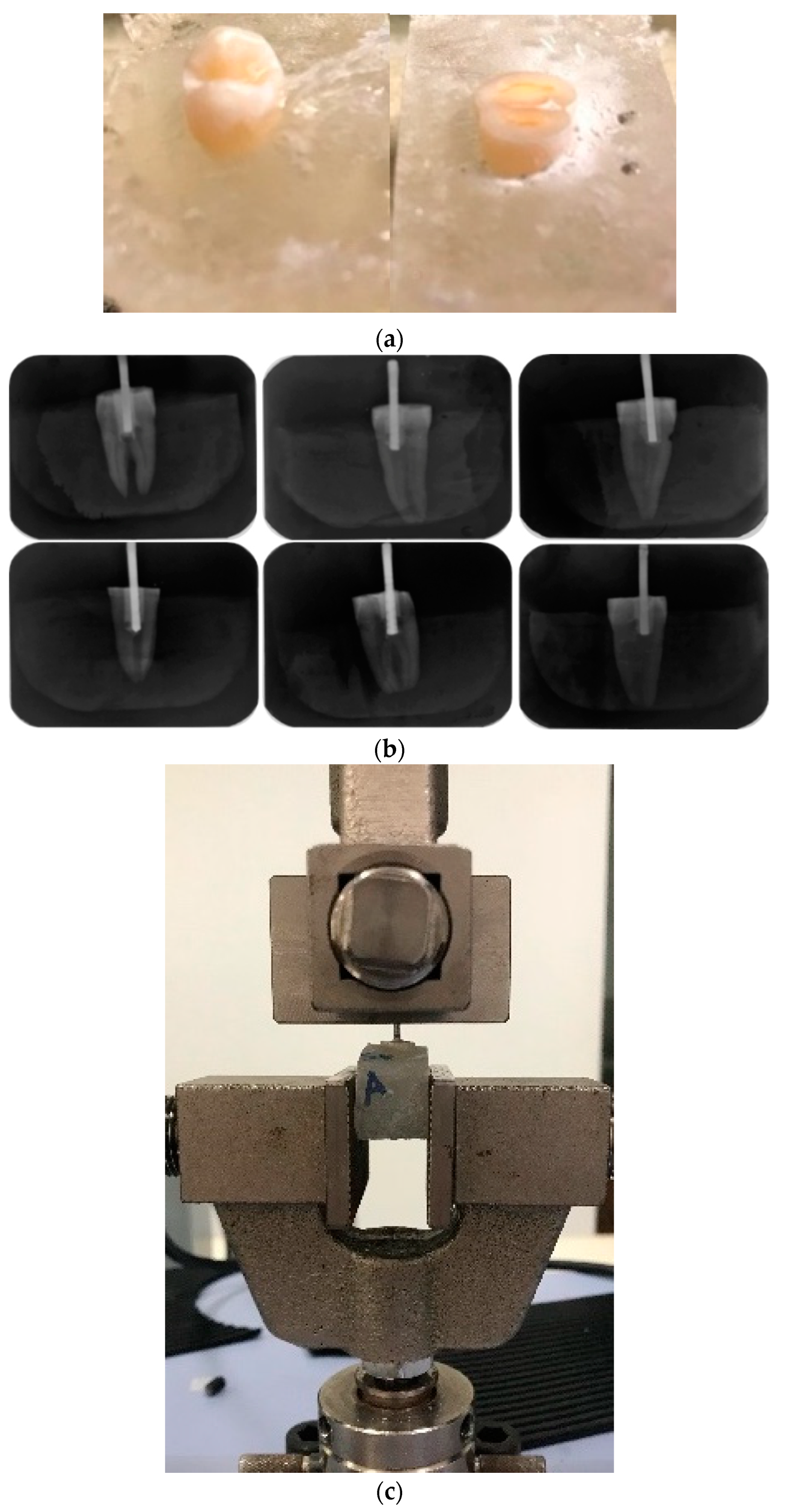 Polymers 15 01676 g002