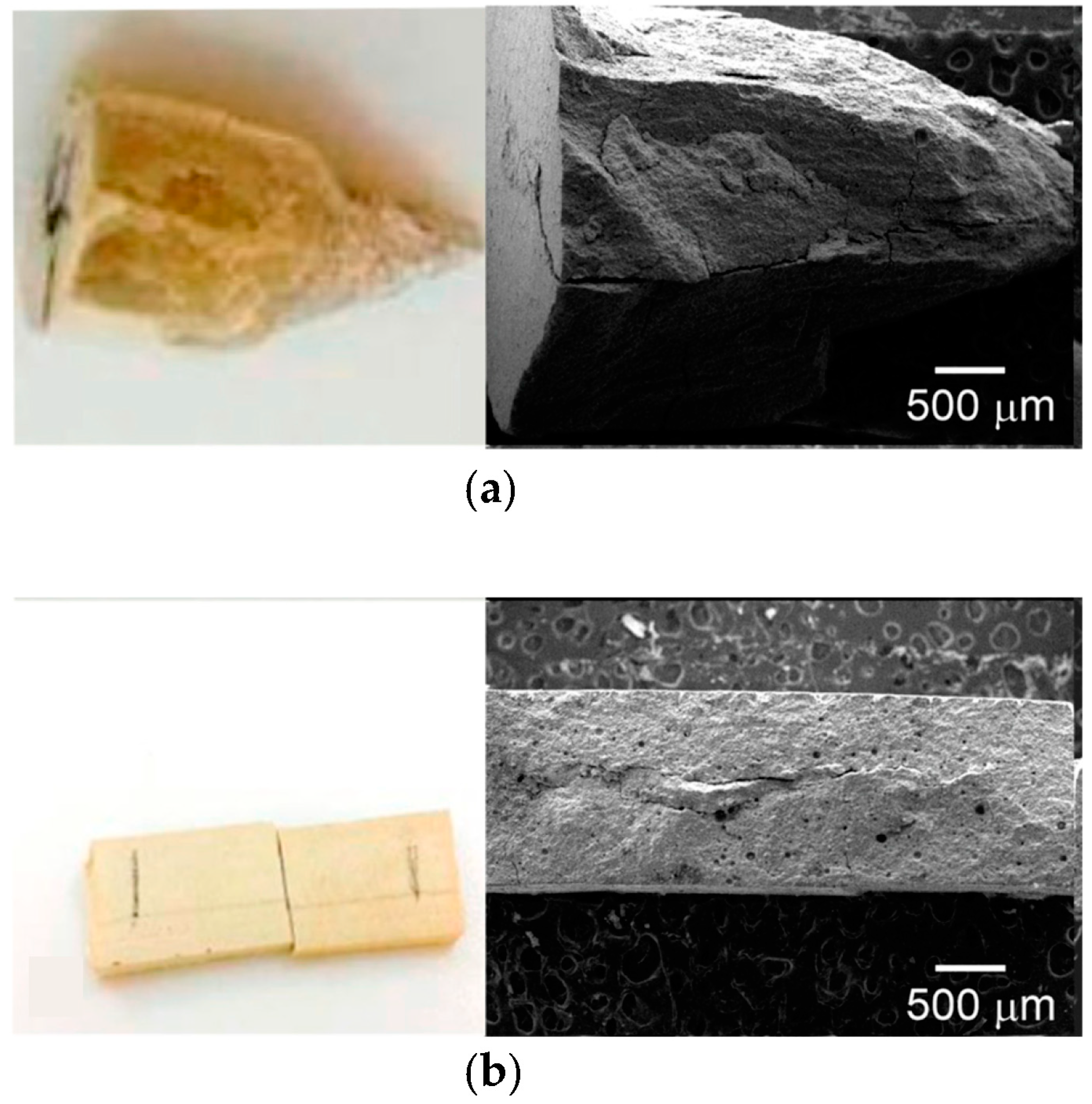 Polymers 15 01676 g005