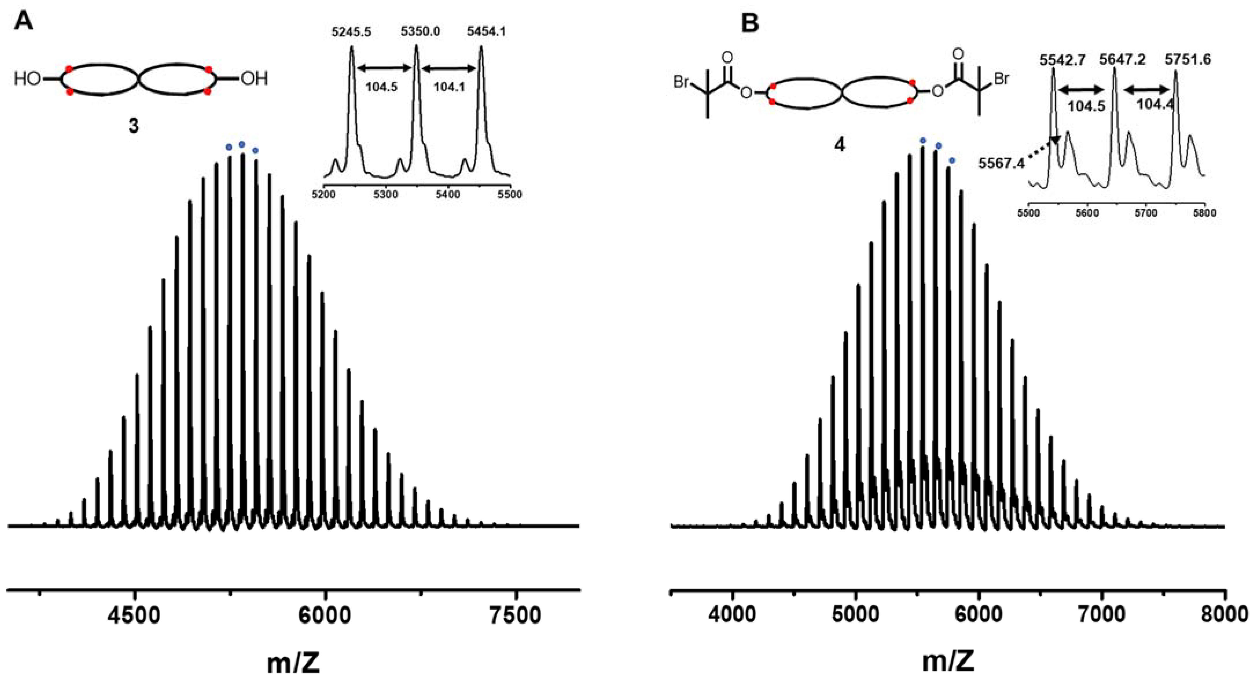 Polymers 15 01677 g005