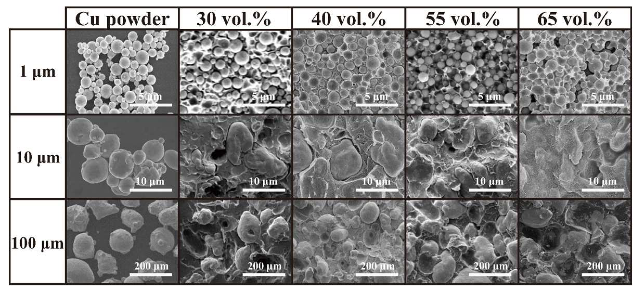 Polymers 15 01680 g003 Polymers 15 01680 g003
