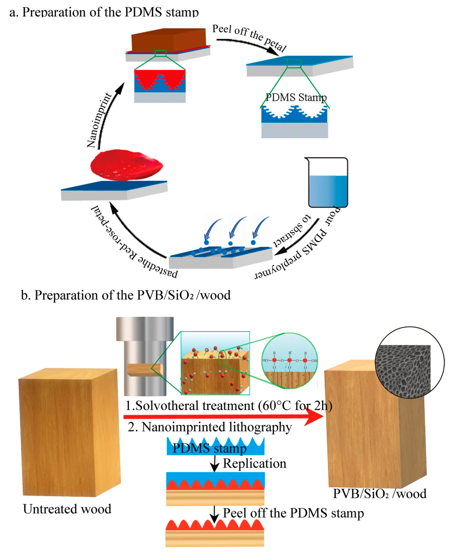 Recent Advances in Superhydrophobic and Antibacterial Cellulose