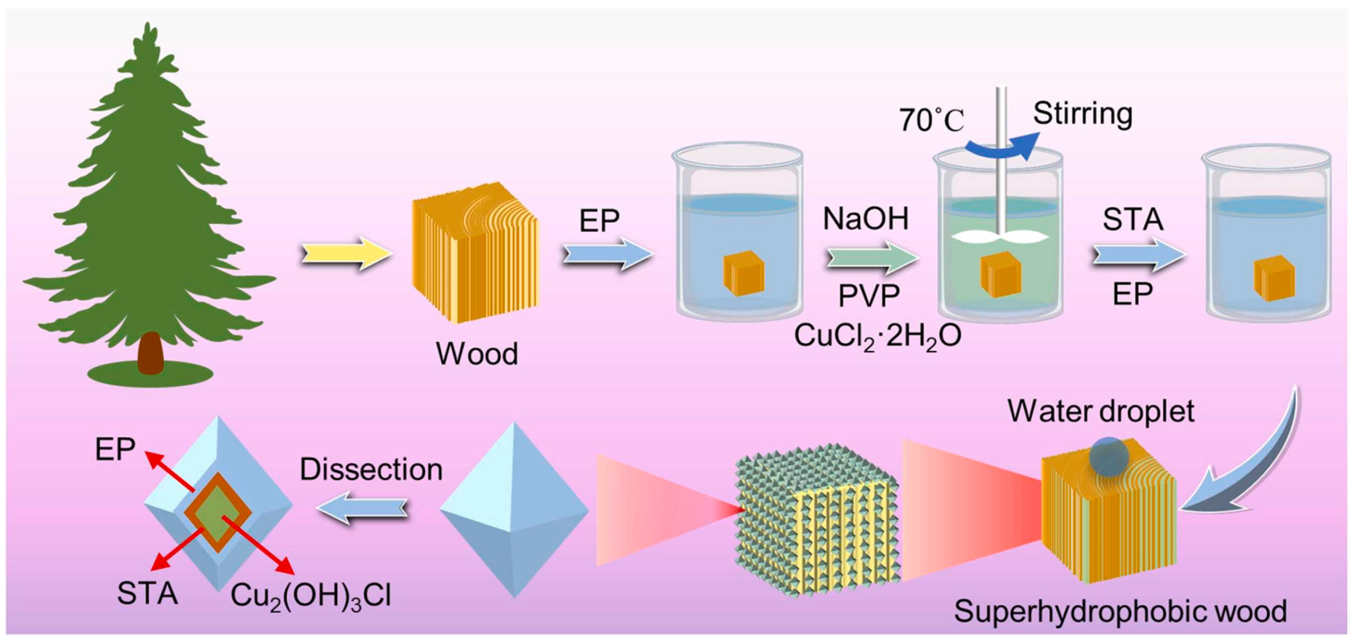 Recent Advances in Superhydrophobic and Antibacterial Cellulose