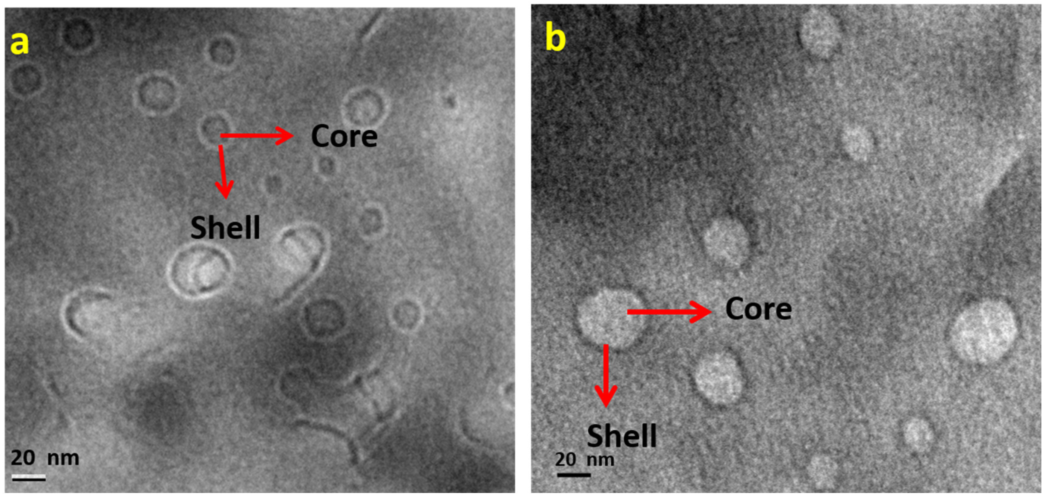 Polymers 15 01689 g001