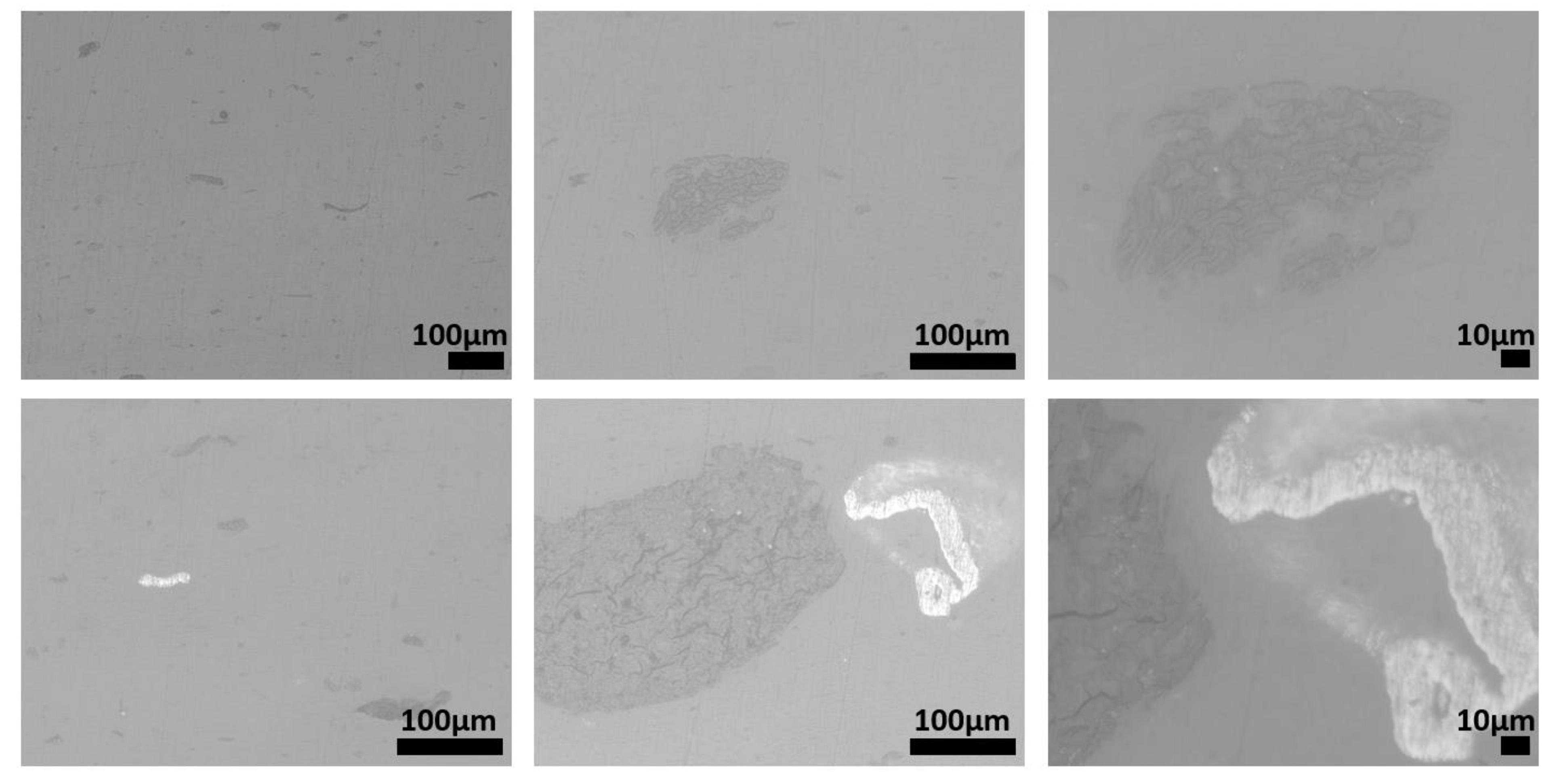 Polymers 15 01690 g010