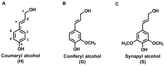 Polymers | Free Full-Text | The Biomodified Lignin Platform: A Review