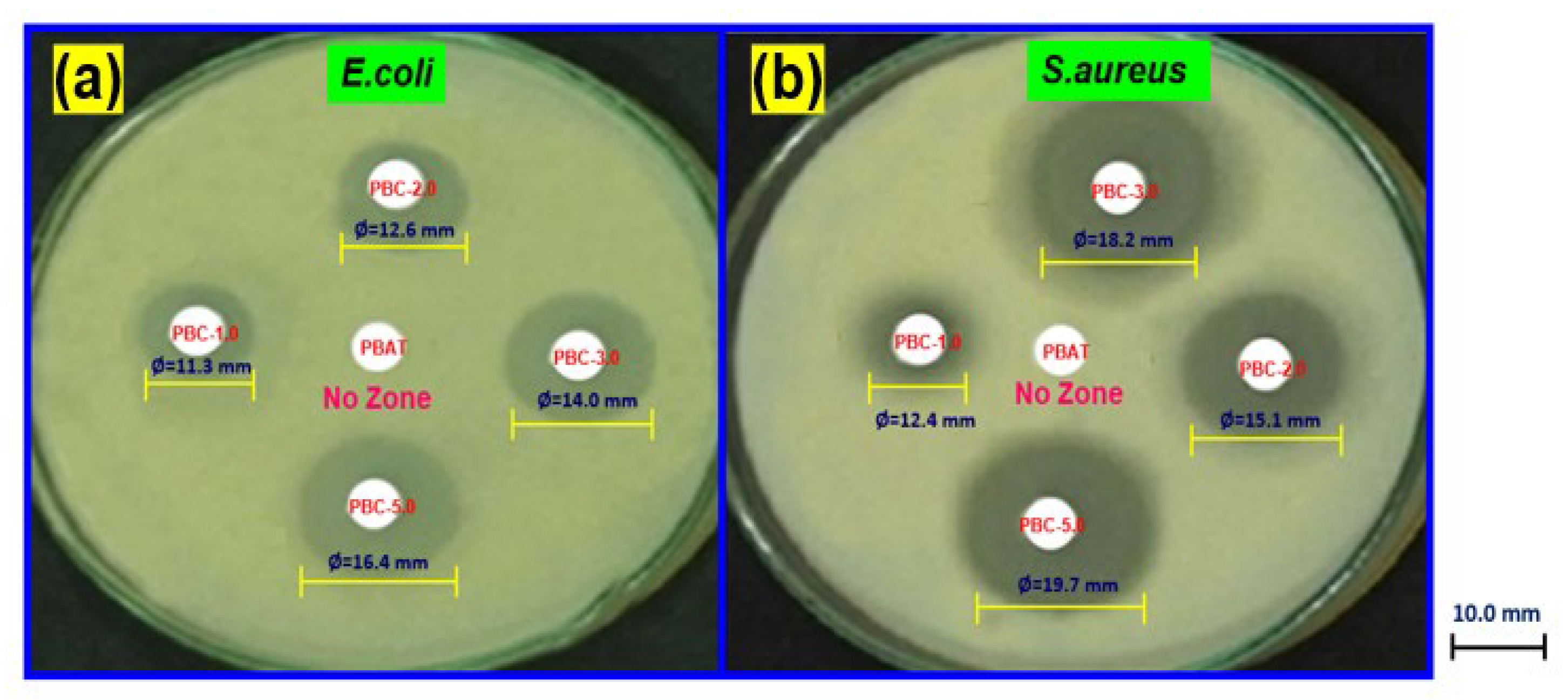 Polymers 15 01710 g006