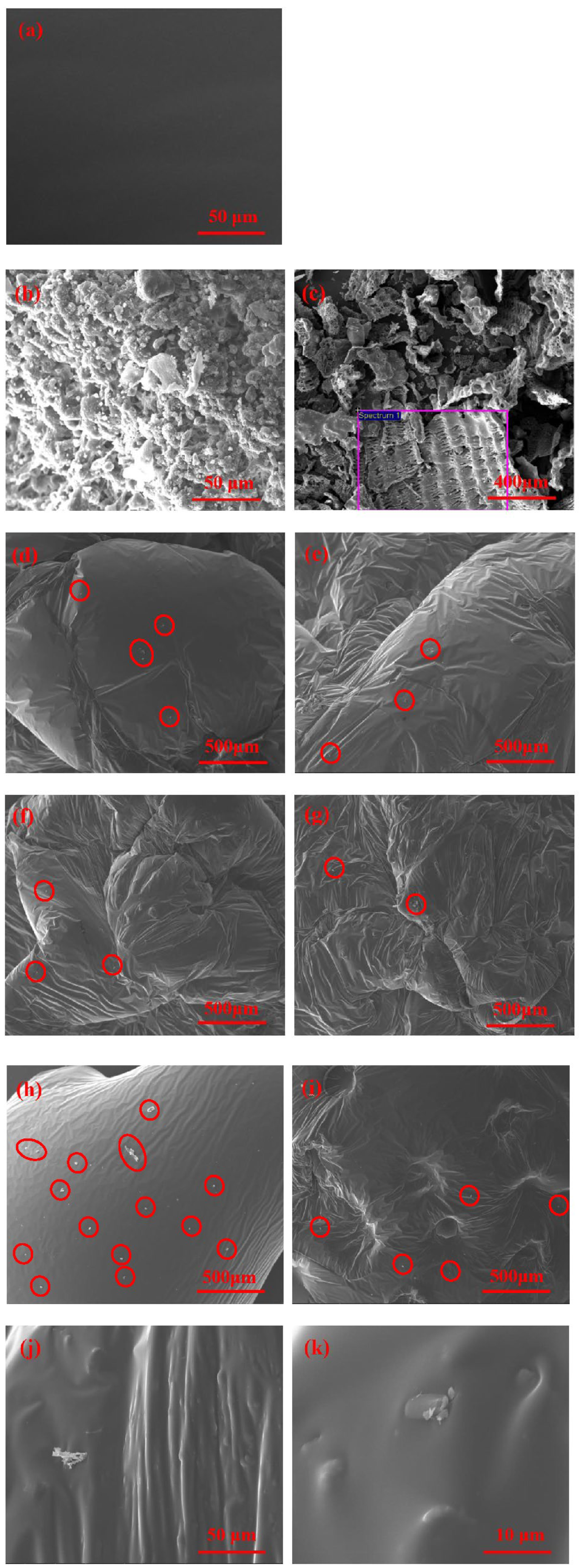 Polymers 15 01718 g012 Polymers 15 01718 g012