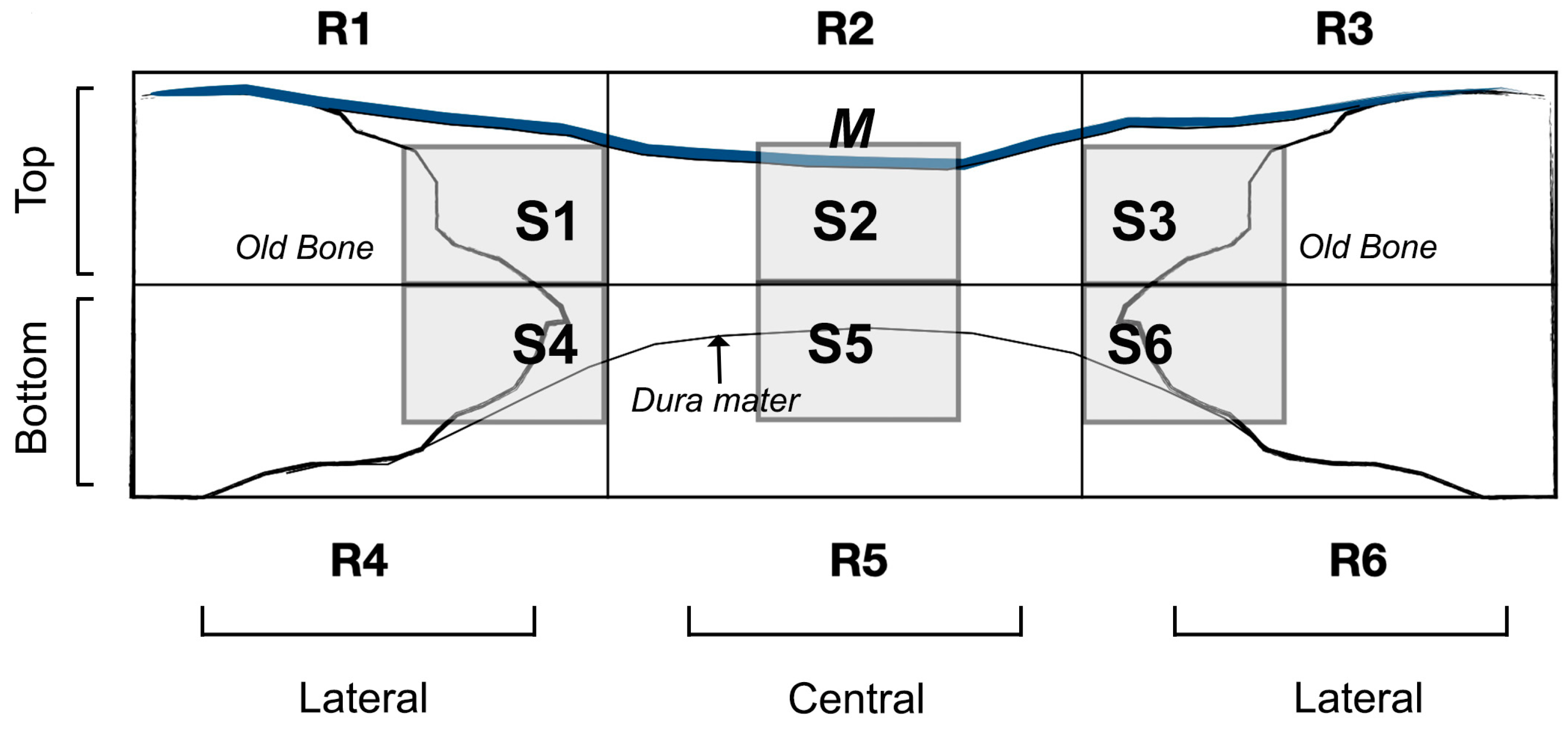 Polymers 15 01726 g001 Polymers 15 01726 g001