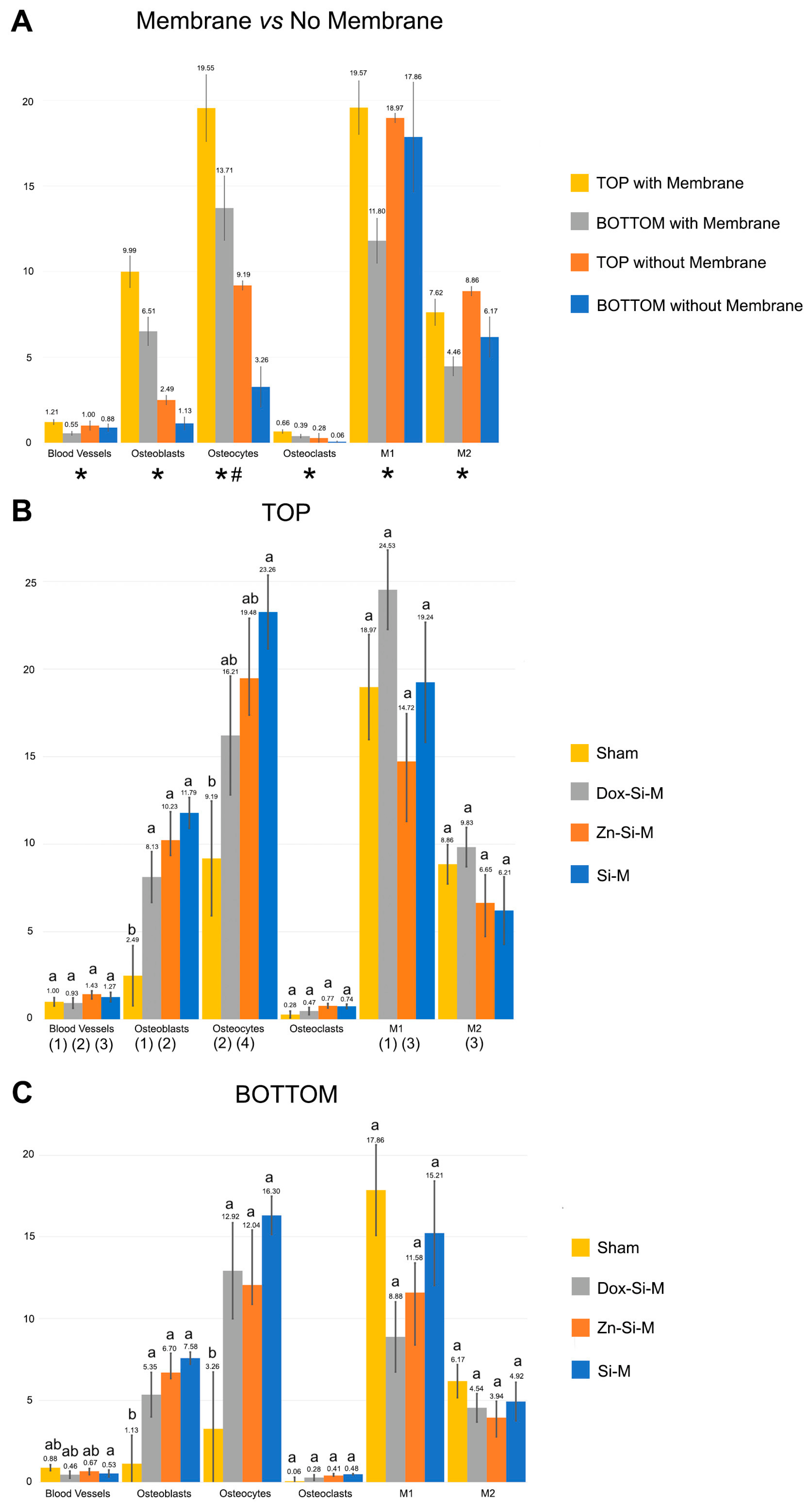 Polymers 15 01726 g002 Polymers 15 01726 g002