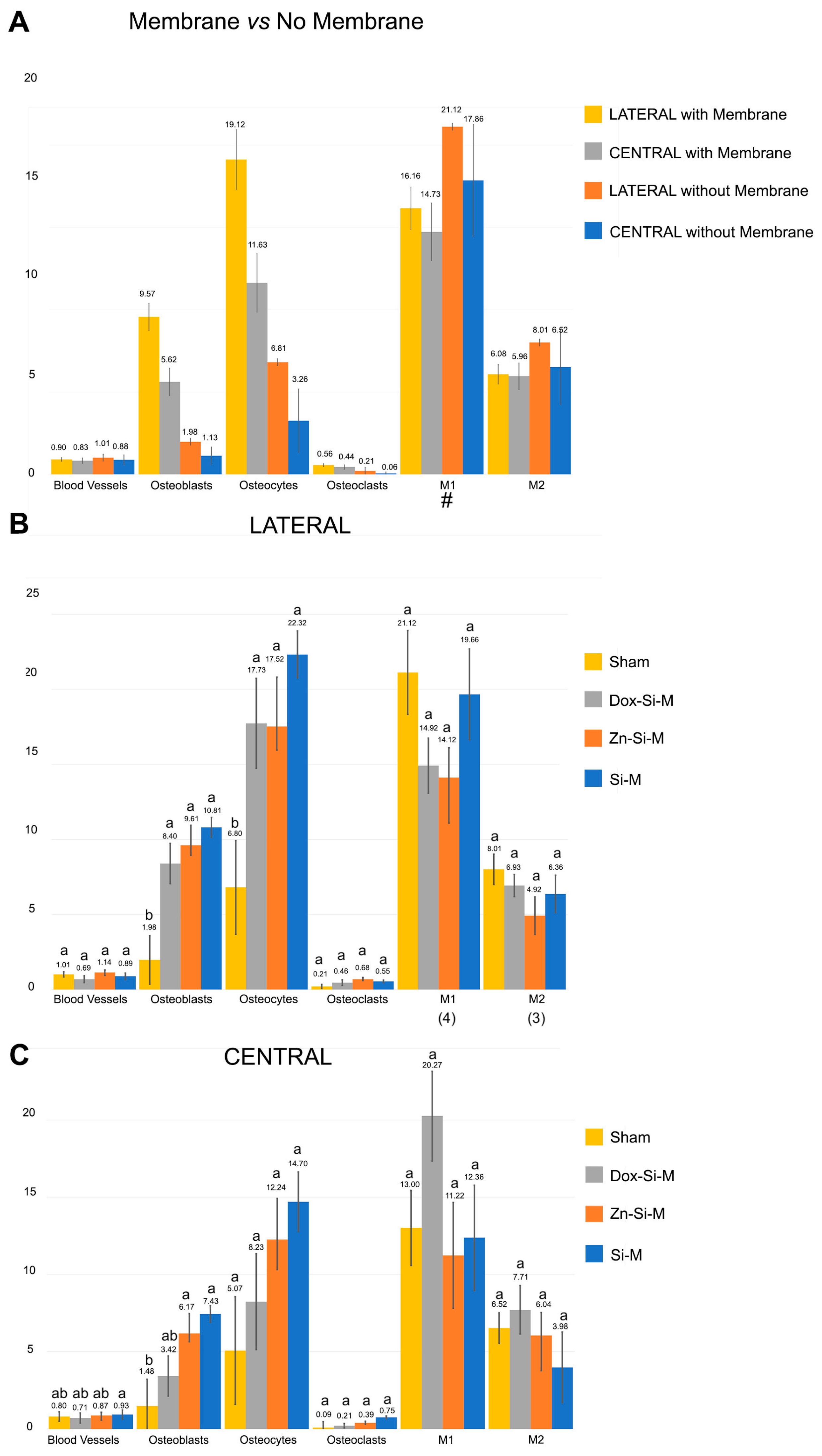 Polymers 15 01726 g003 Polymers 15 01726 g003