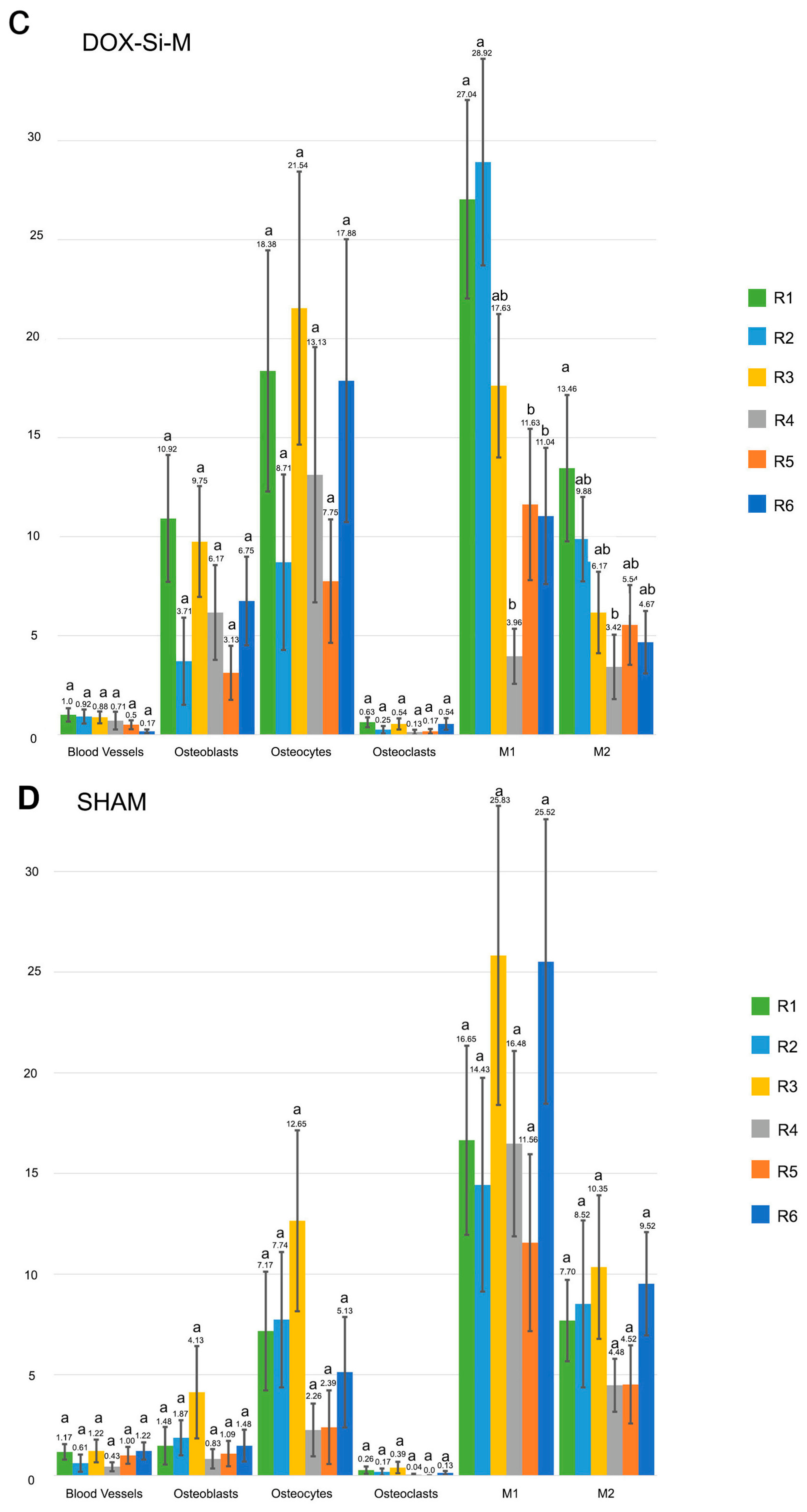 Polymers 15 01726 g004b Polymers 15 01726 g004b