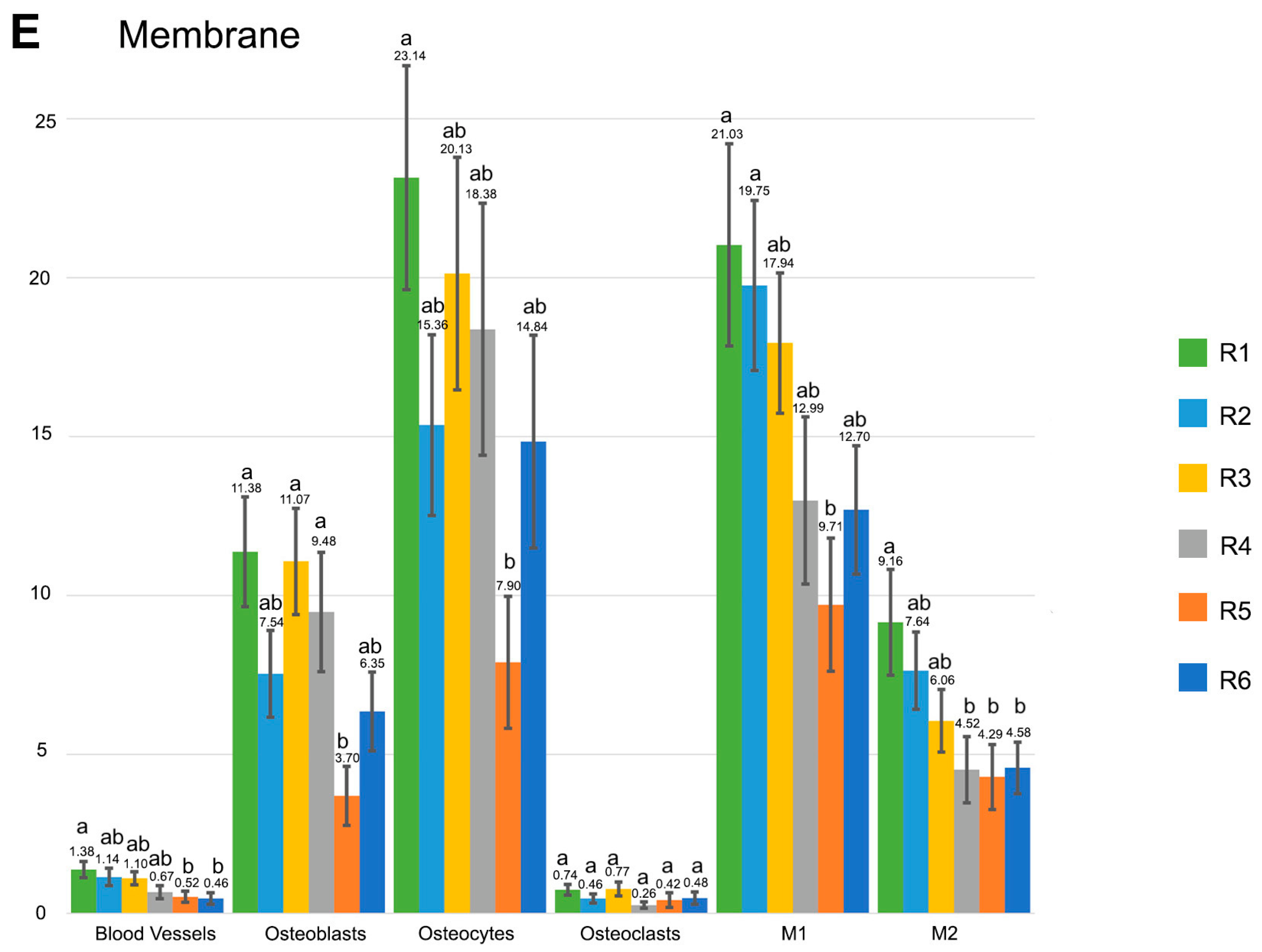 Polymers 15 01726 g004c Polymers 15 01726 g004c