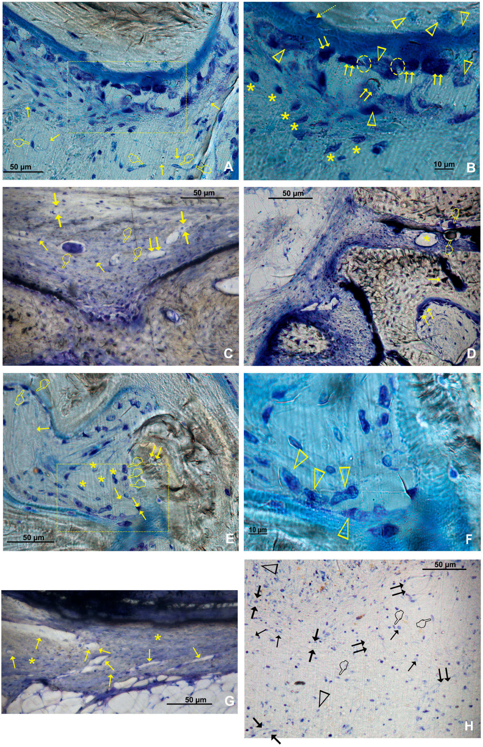 Polymers 15 01726 g005 Polymers 15 01726 g005