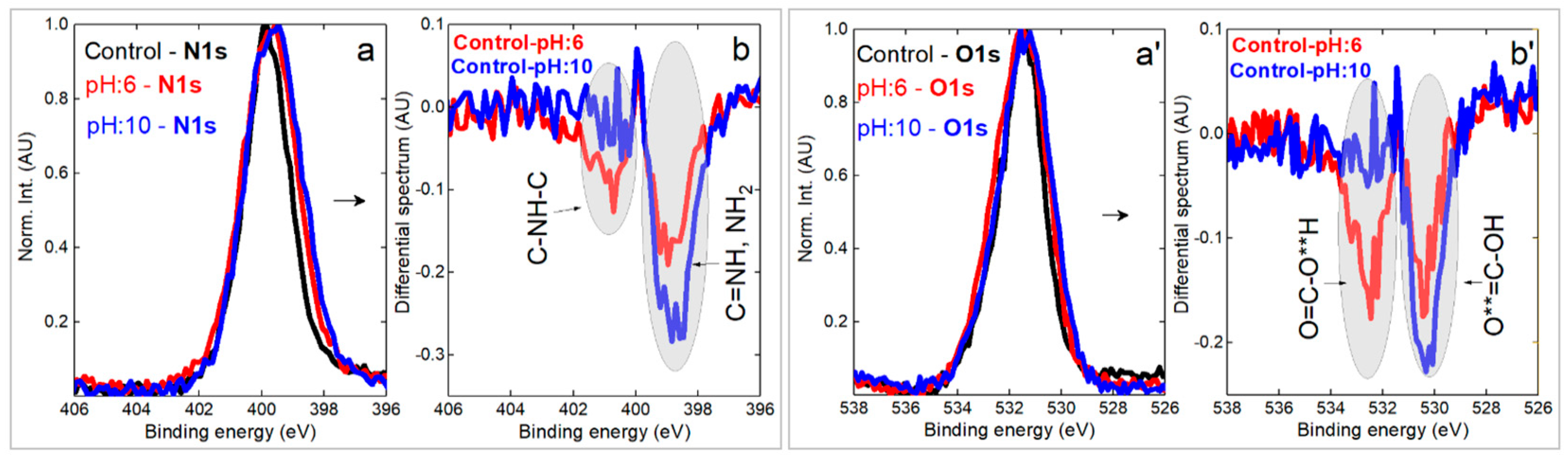 Polymers 15 01730 g009