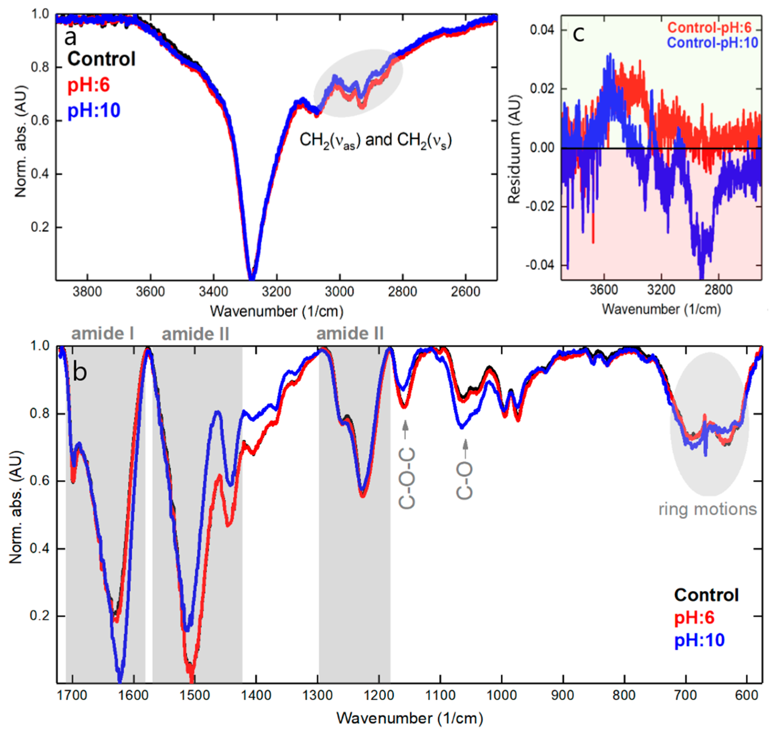 Polymers 15 01730 g010