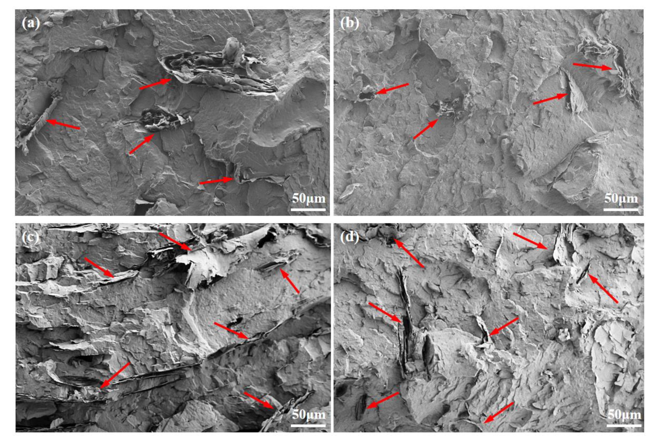 Polymers 15 01747 g001