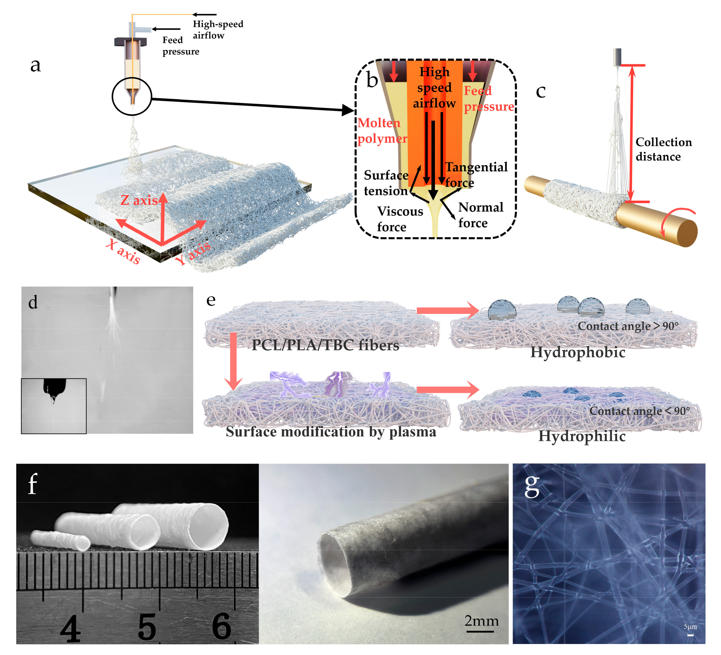 Polymers 15 01755 g001 Polymers 15 01755 g001