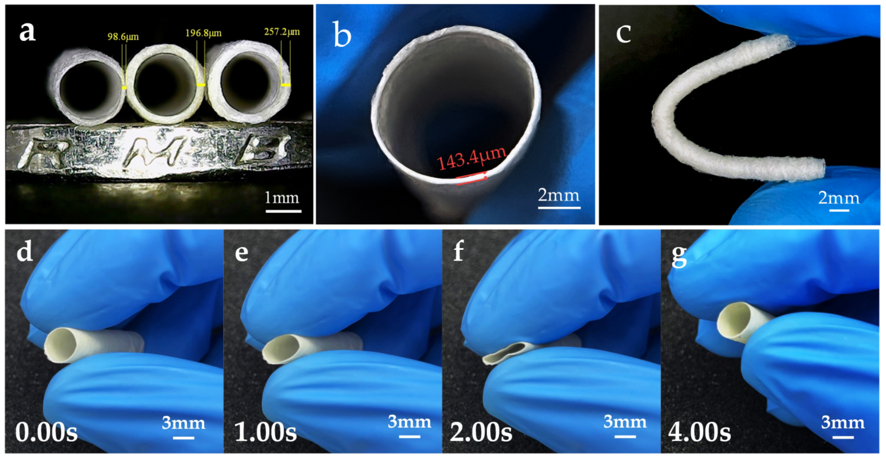 Polymers 15 01755 g008a Polymers 15 01755 g008a