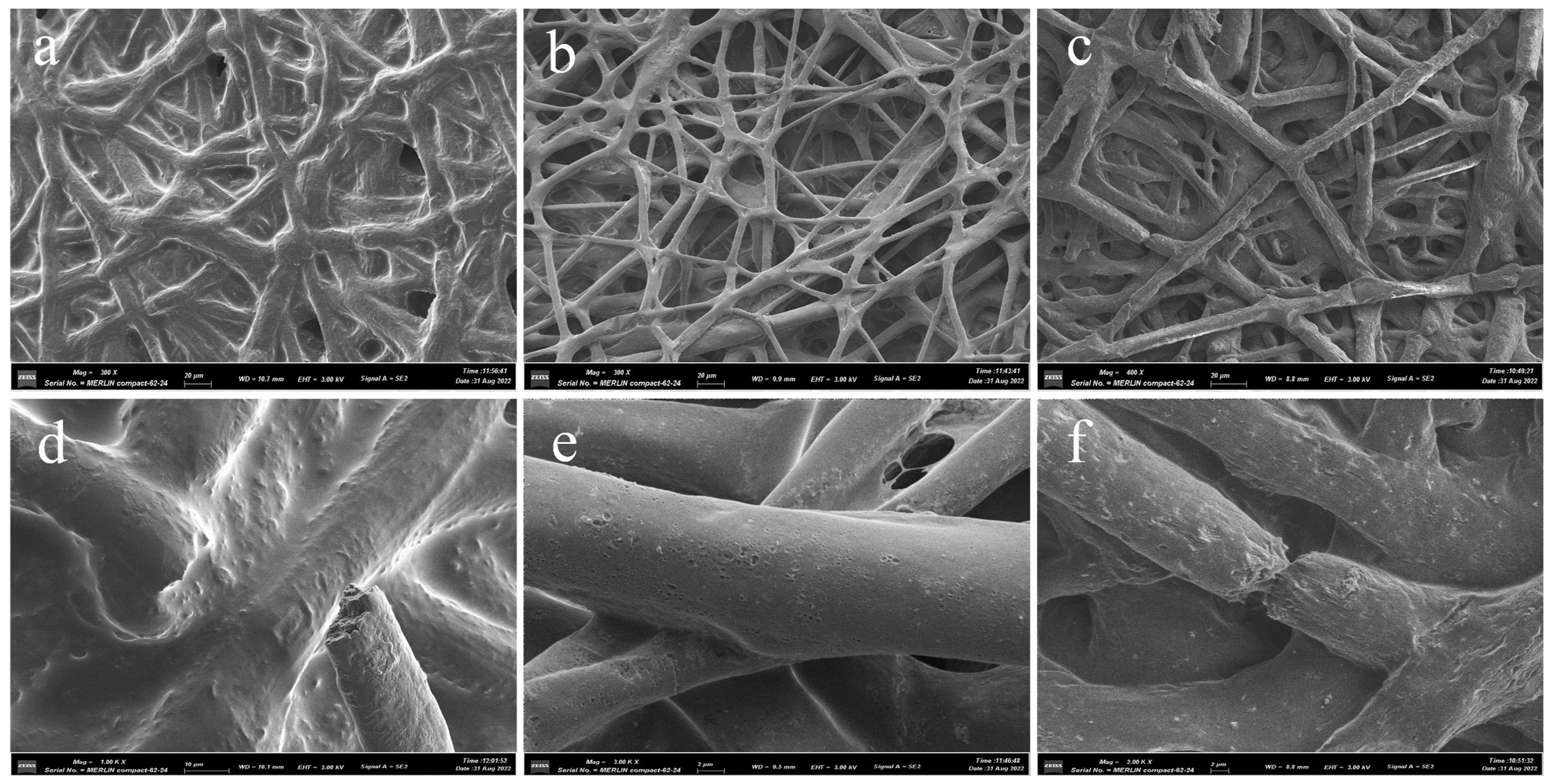 Polymers 15 01755 g009 Polymers 15 01755 g009