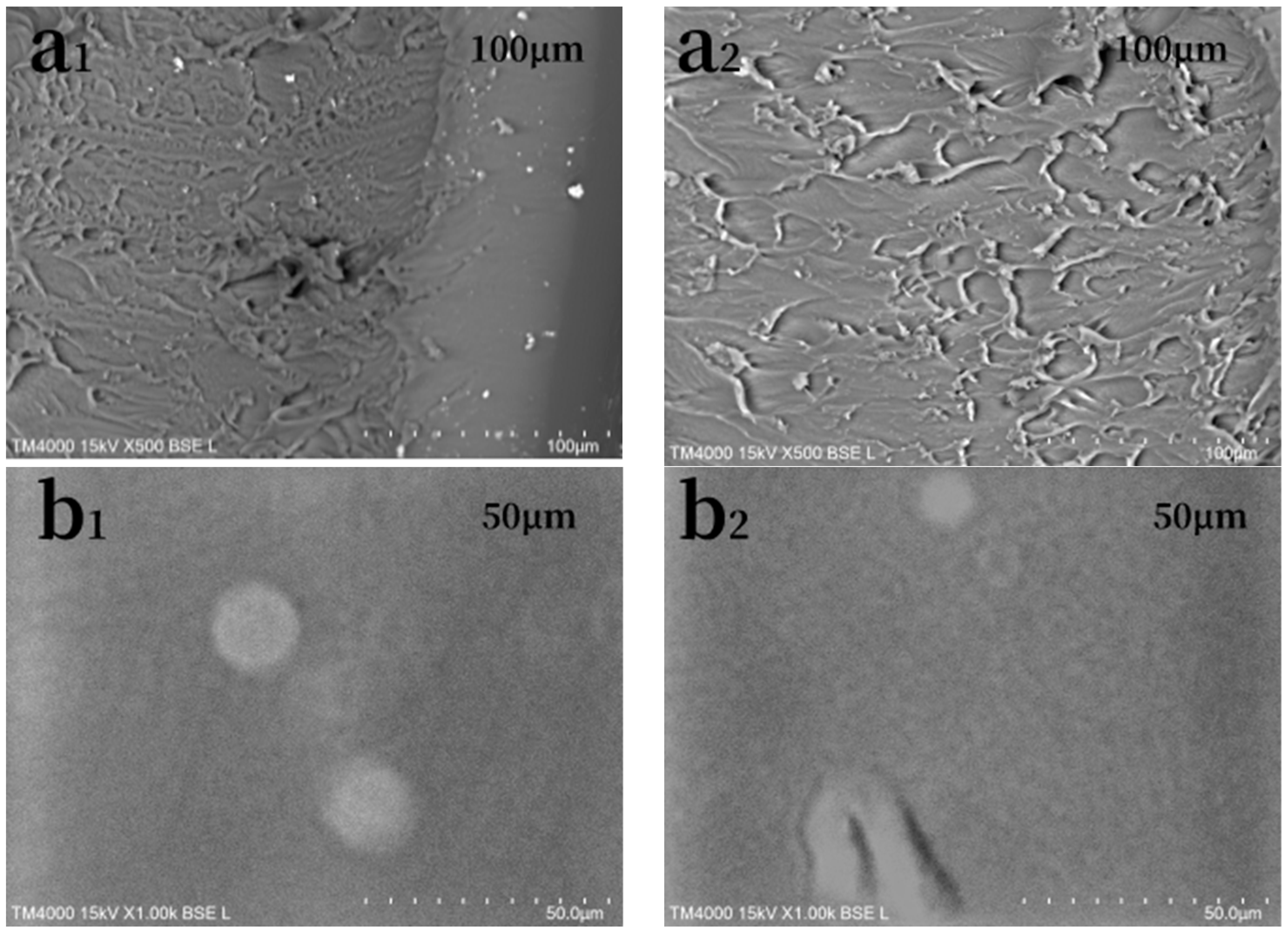 Polymers 15 01759 g004 Polymers 15 01759 g004