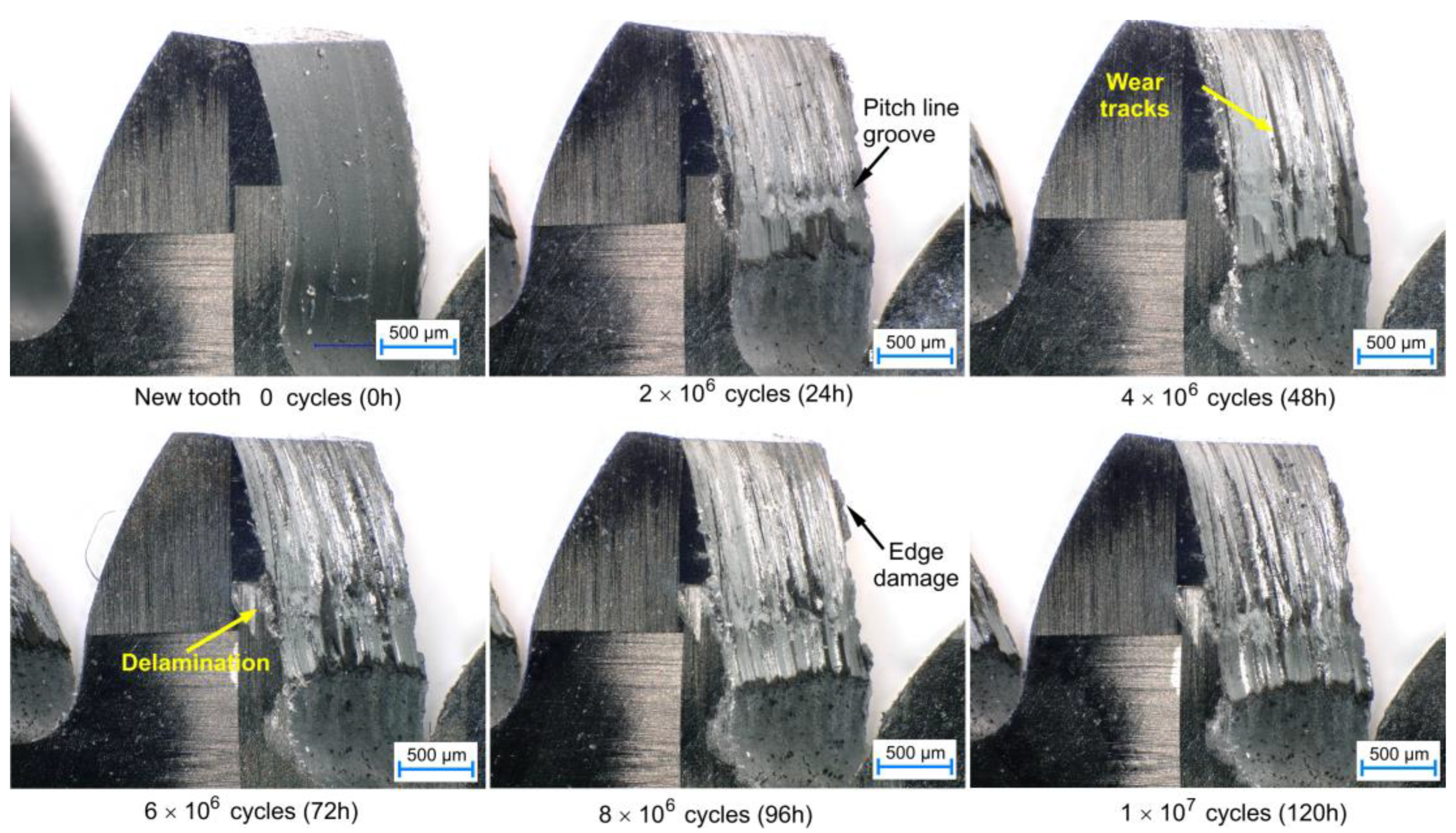 Polymers 15 01767 g012