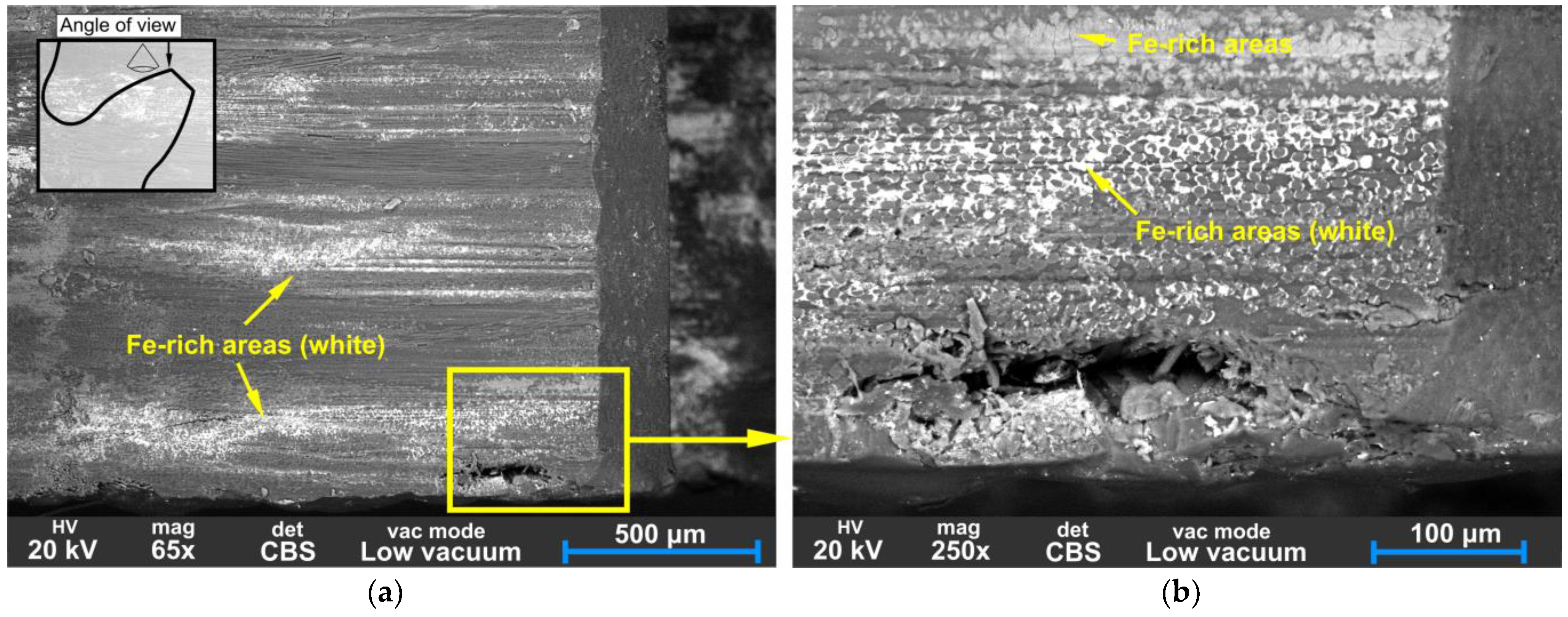 Polymers 15 01767 g019