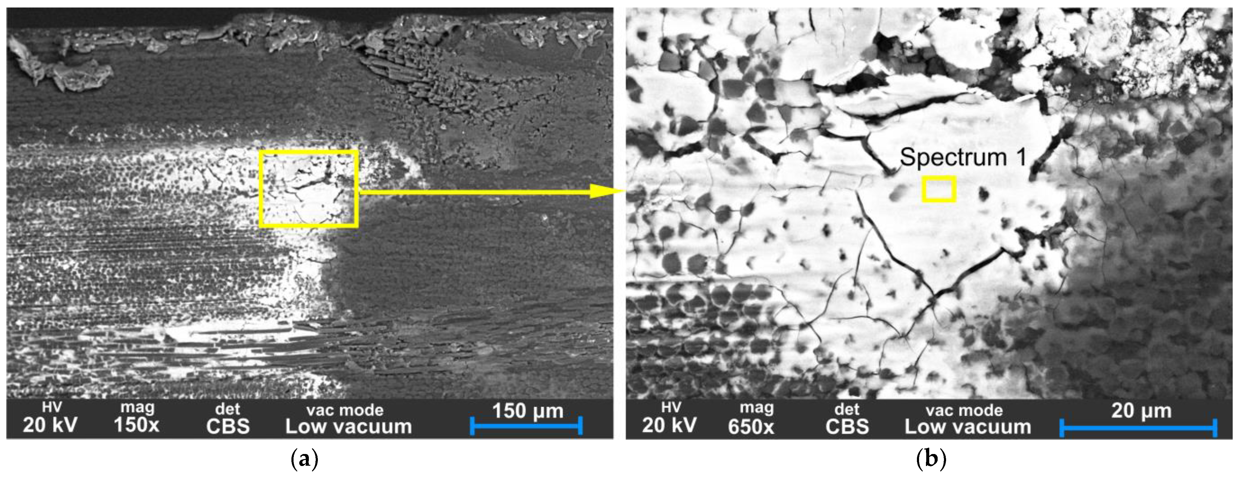 Polymers 15 01767 g020