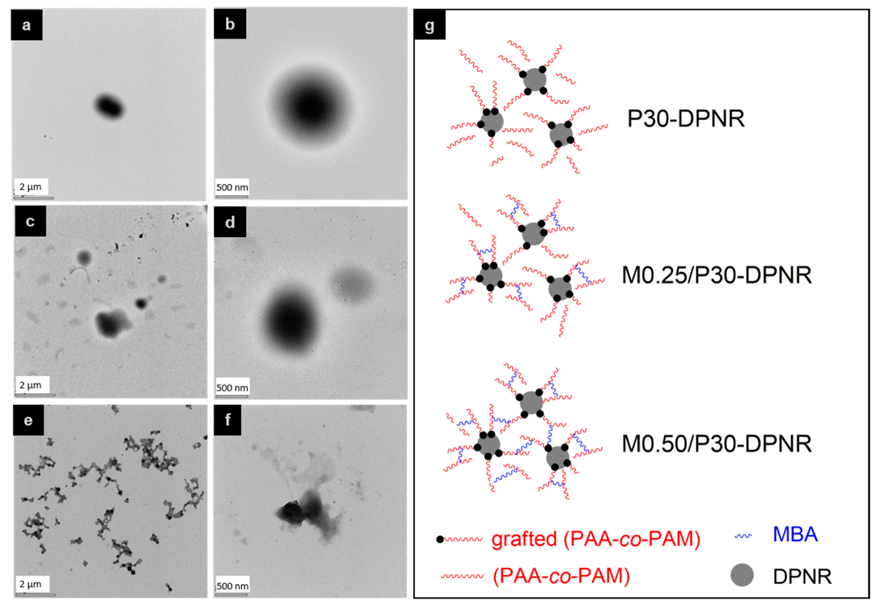 Polymers 15 01770 g002