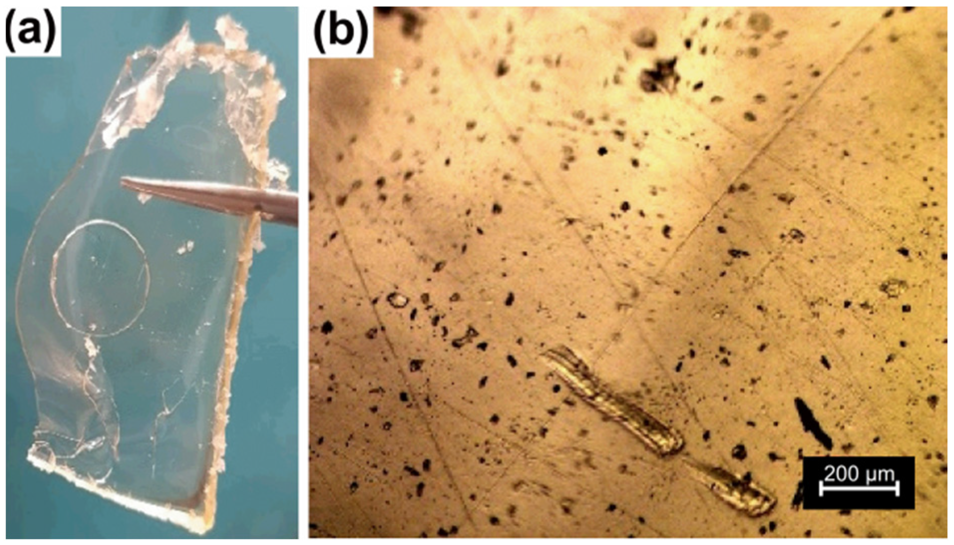 Polymers 15 01795 g002 Polymers 15 01795 g002