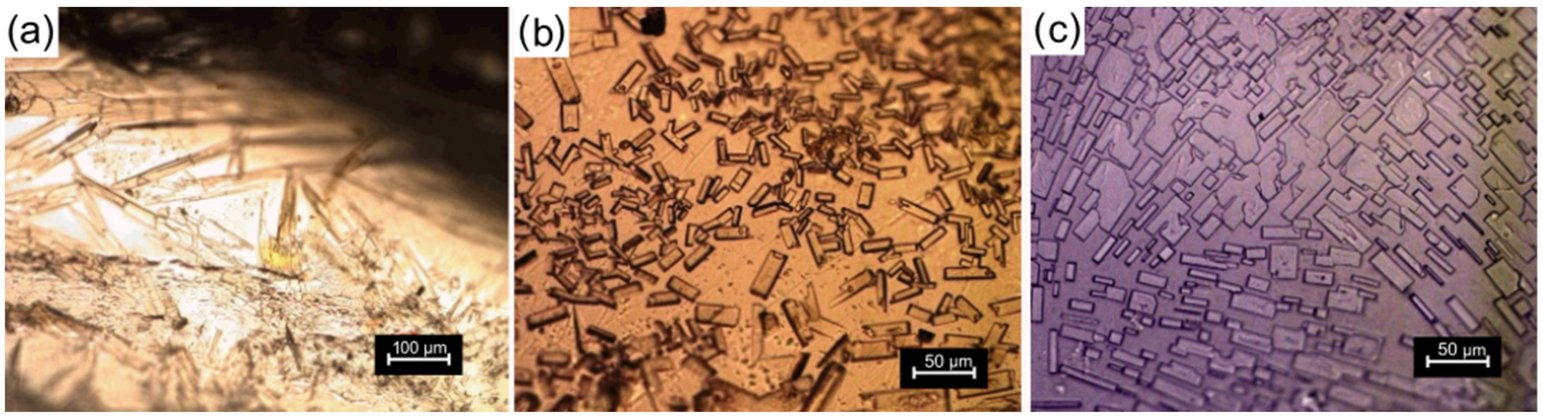 Polymers 15 01795 g007 Polymers 15 01795 g007