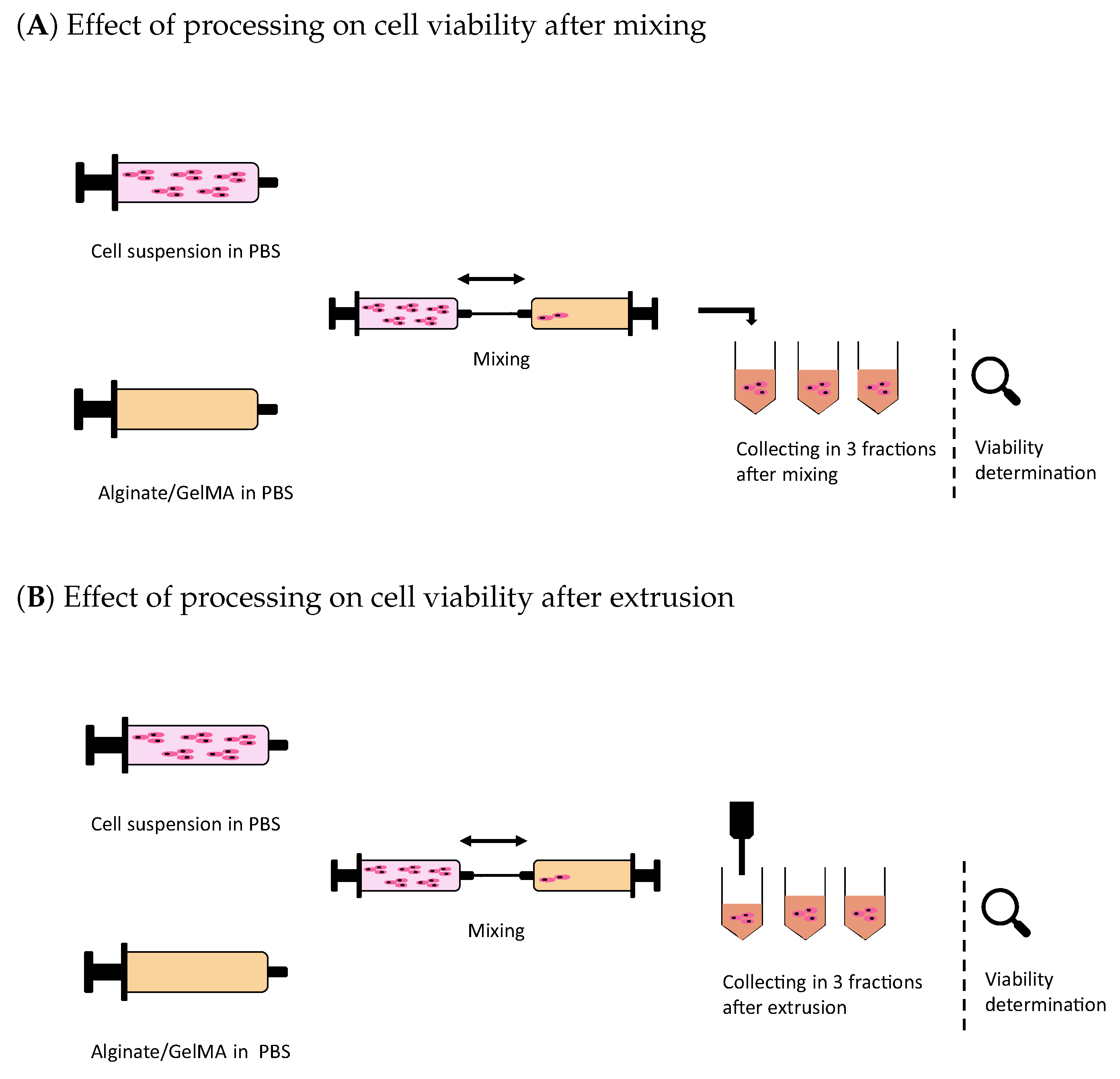 Polymers 15 01829 g002 Polymers 15 01829 g002