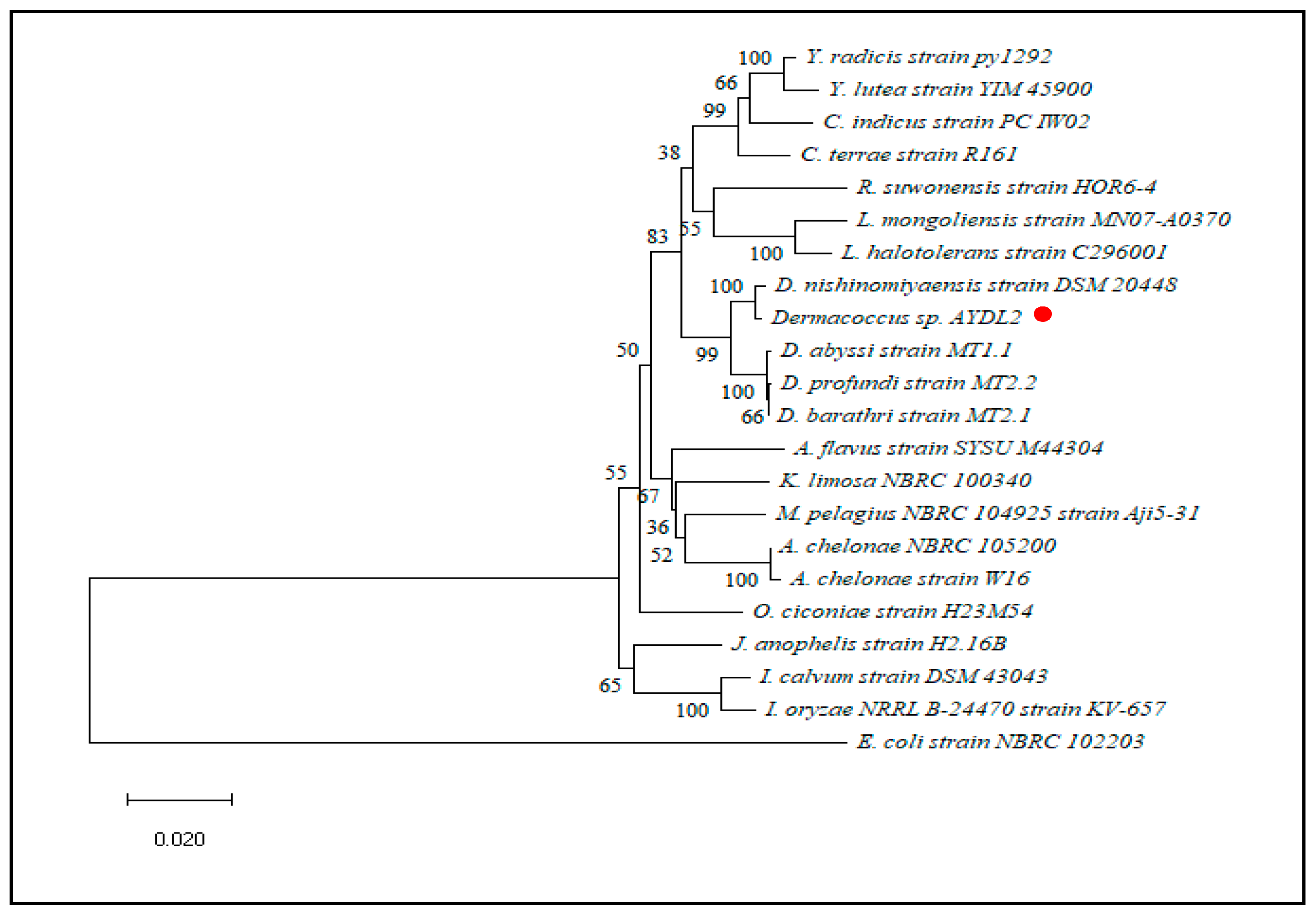 Polymers 15 01841 g002