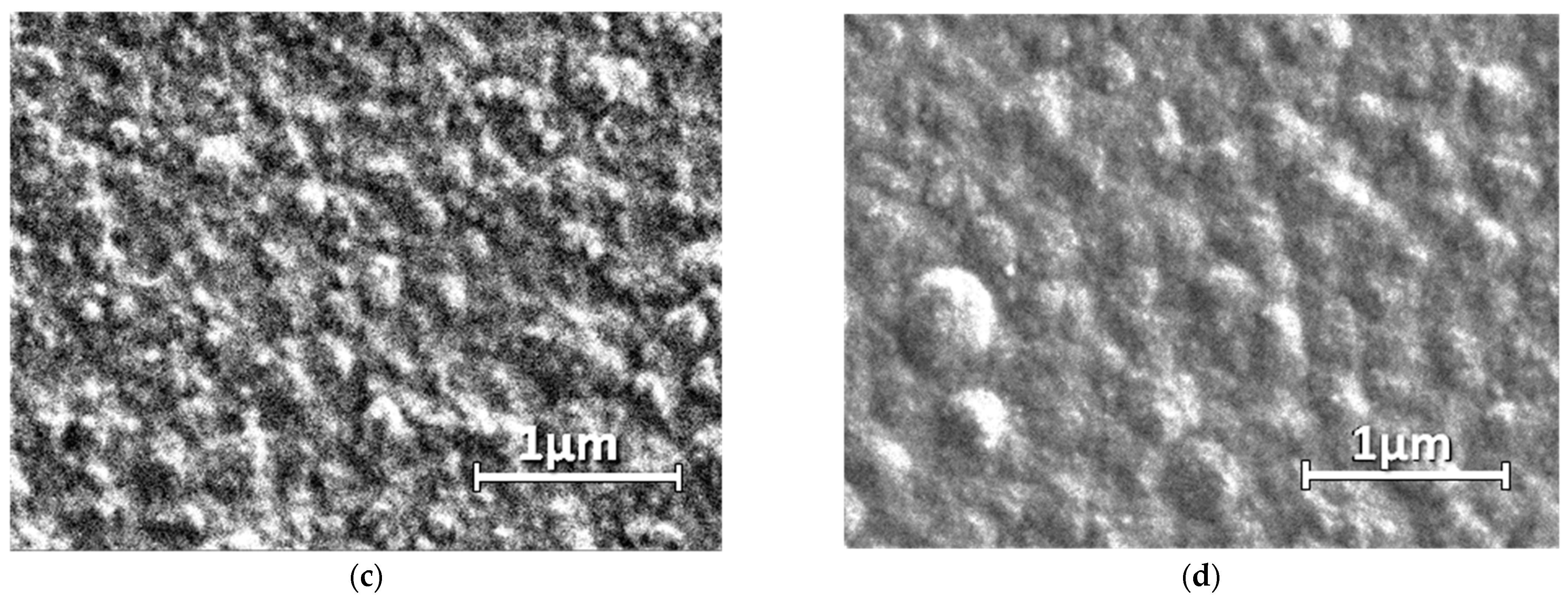 Polymers 15 01854 g008b
