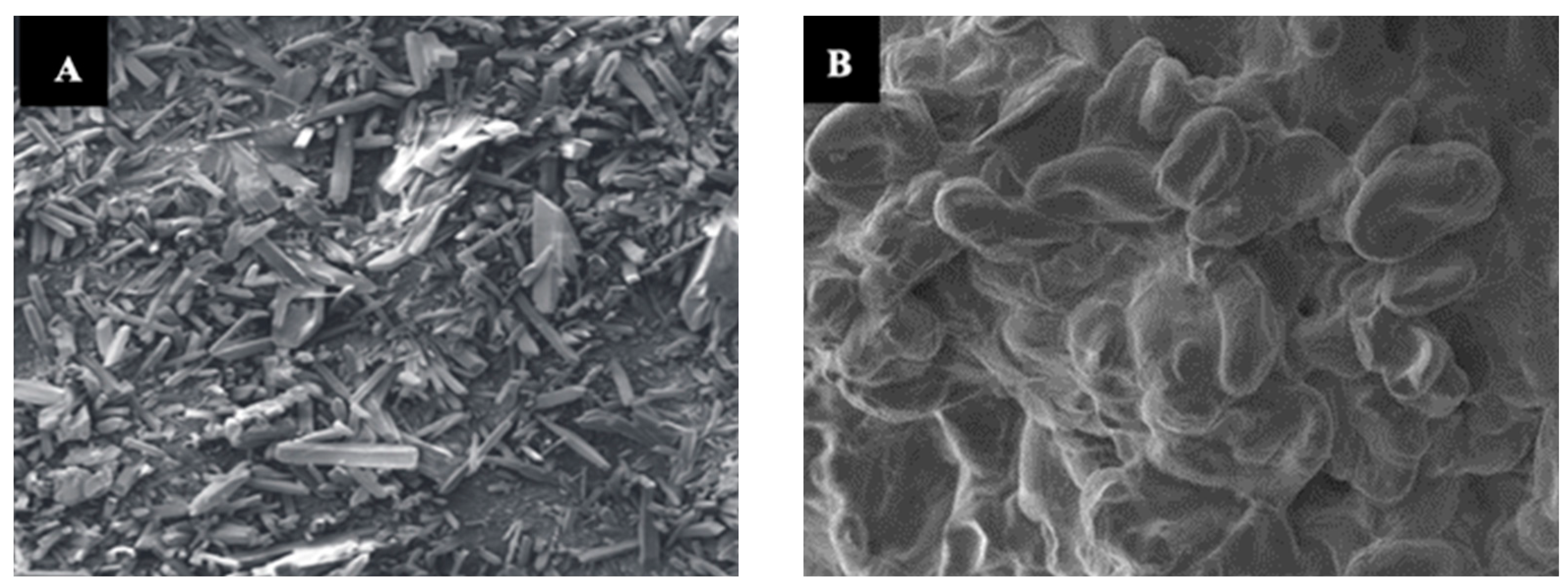 Polymers 15 01863 g004 Polymers 15 01863 g004