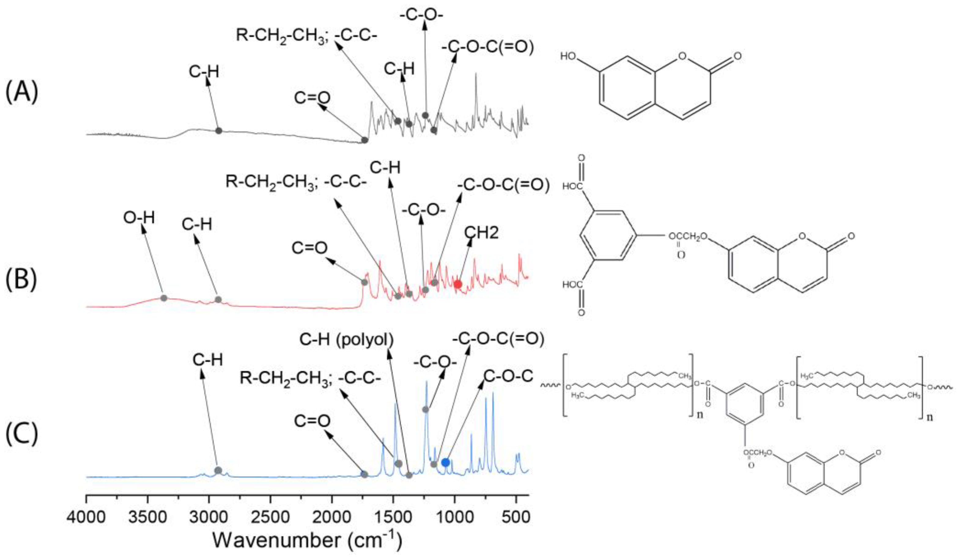 Polymers 15 01885 g003