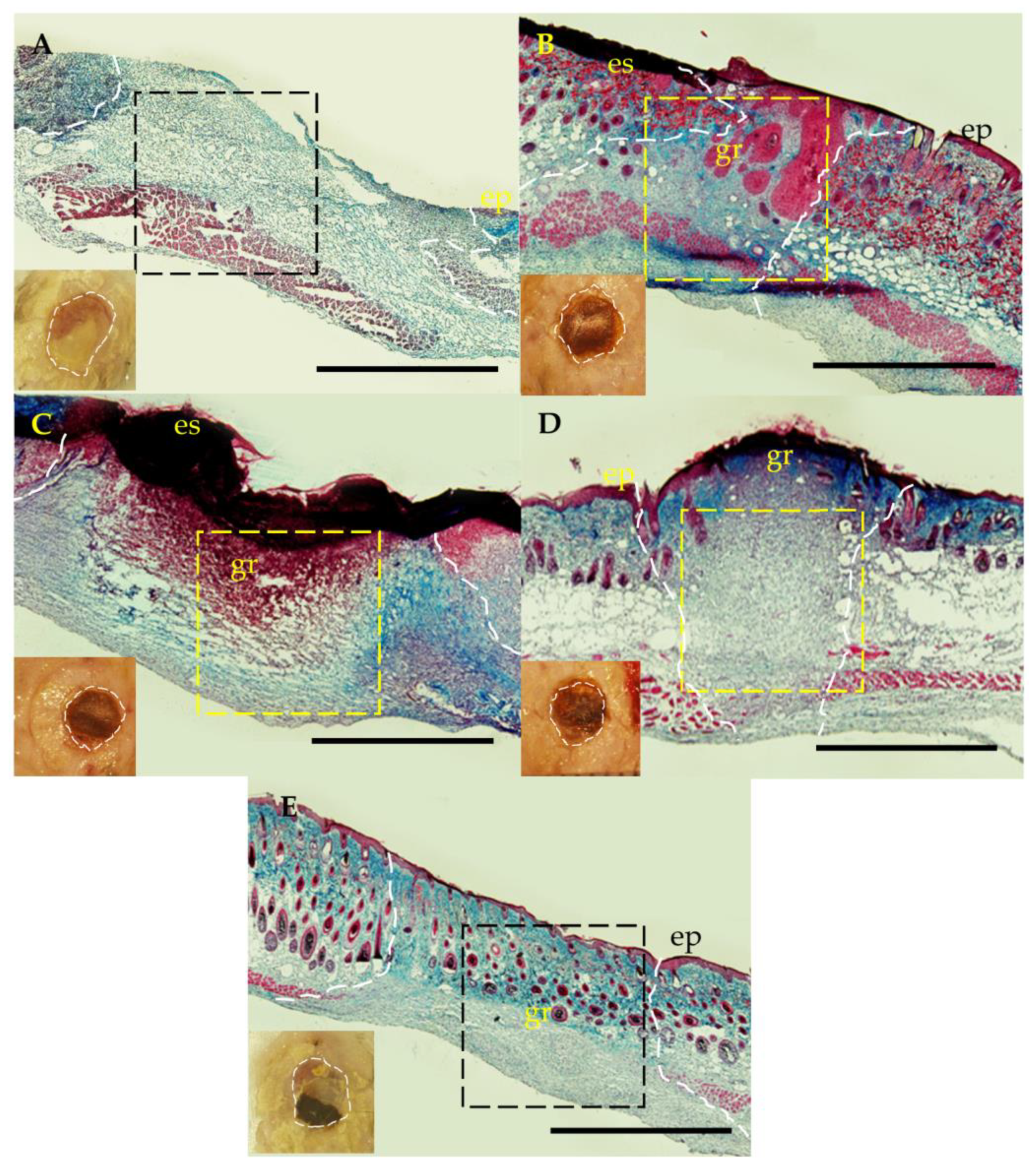 Polymers 15 01905 g007
