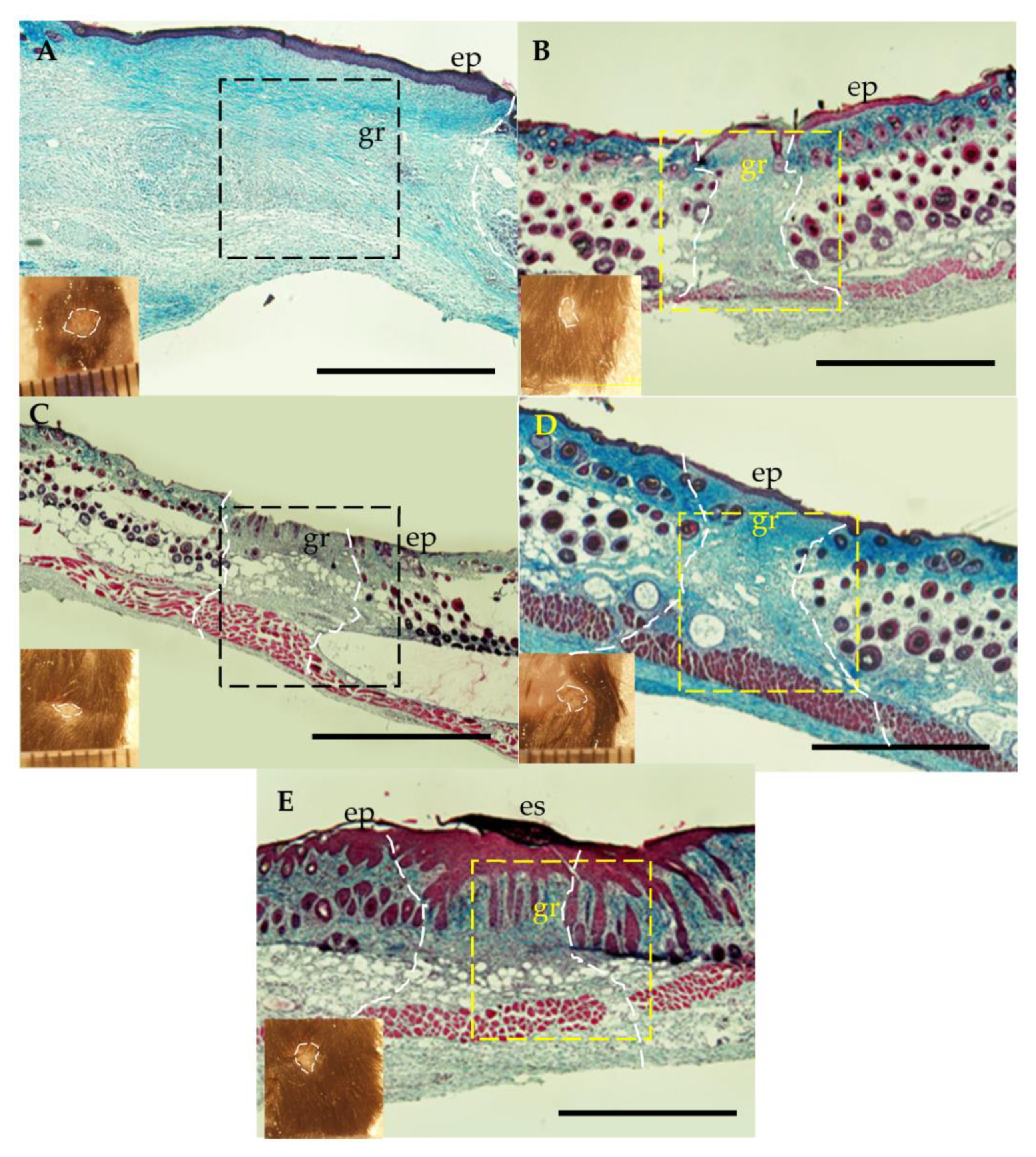 Polymers 15 01905 g008