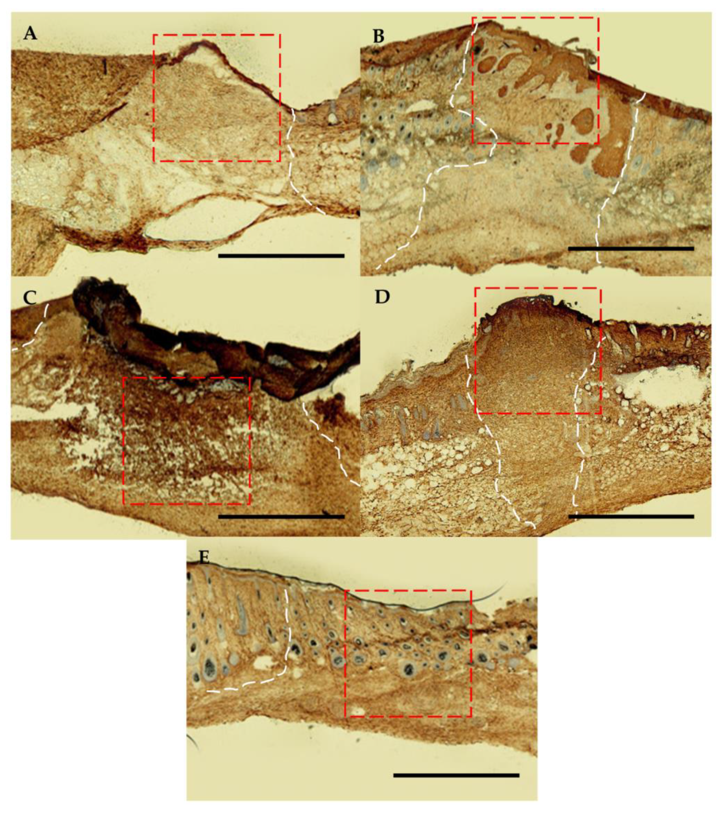 Polymers 15 01905 g010