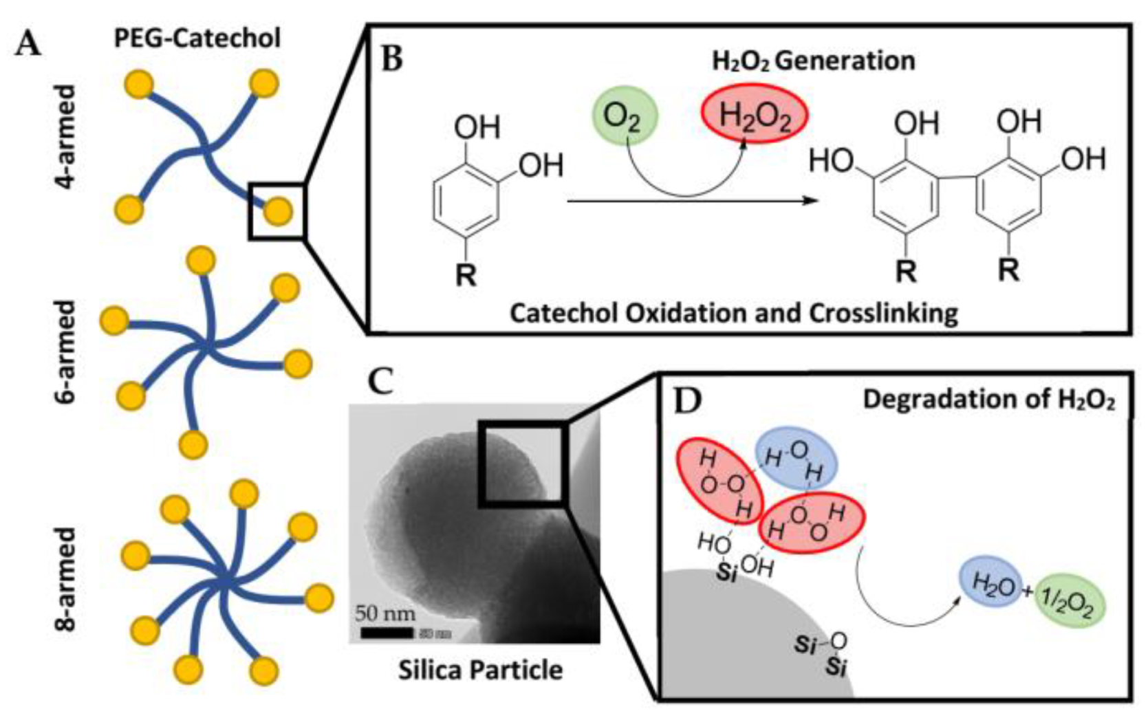 Polymers 15 01905 sch001