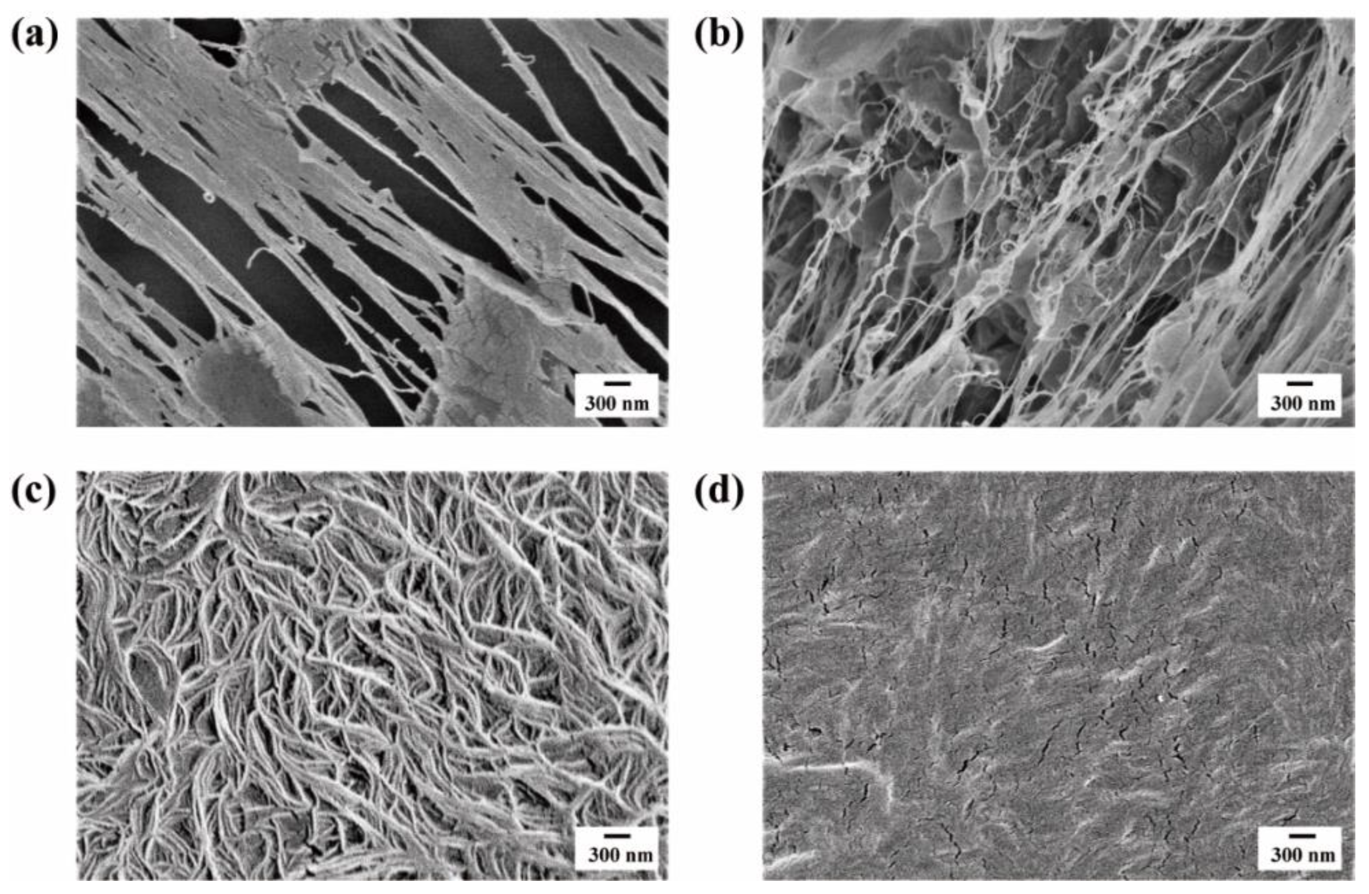 Polymers 15 01910 g001 Polymers 15 01910 g001