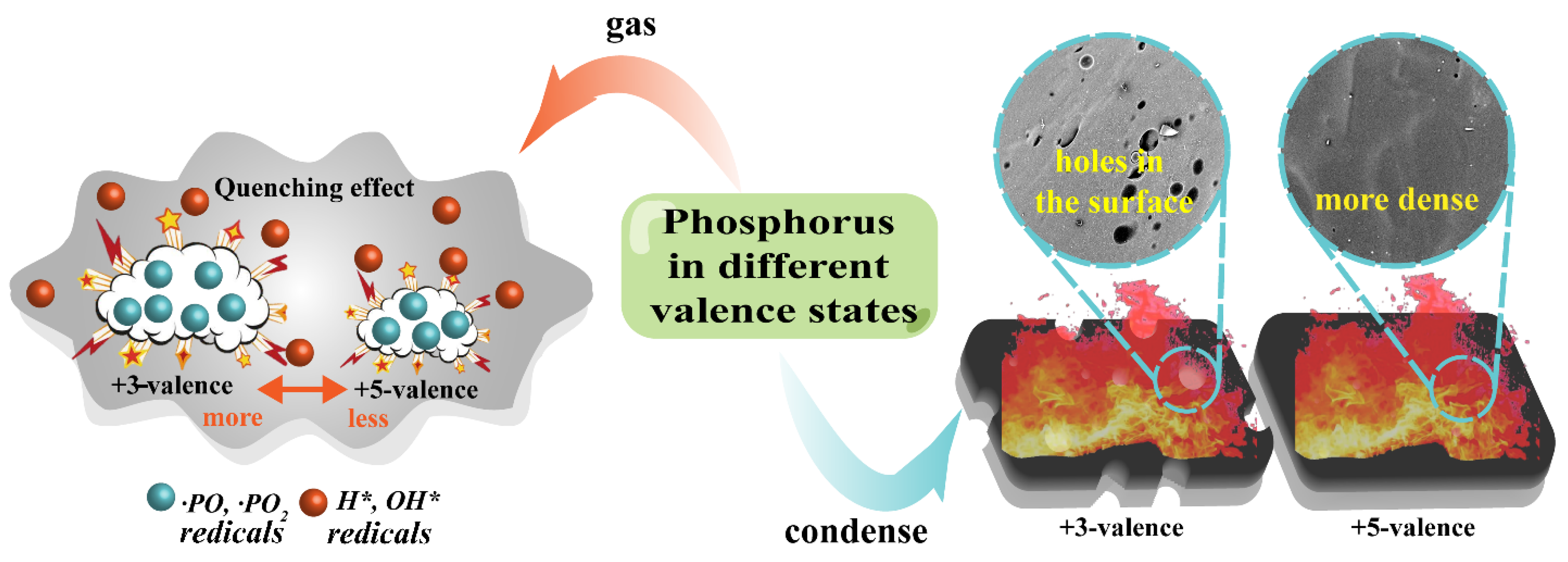 Polymers 15 01917 g008