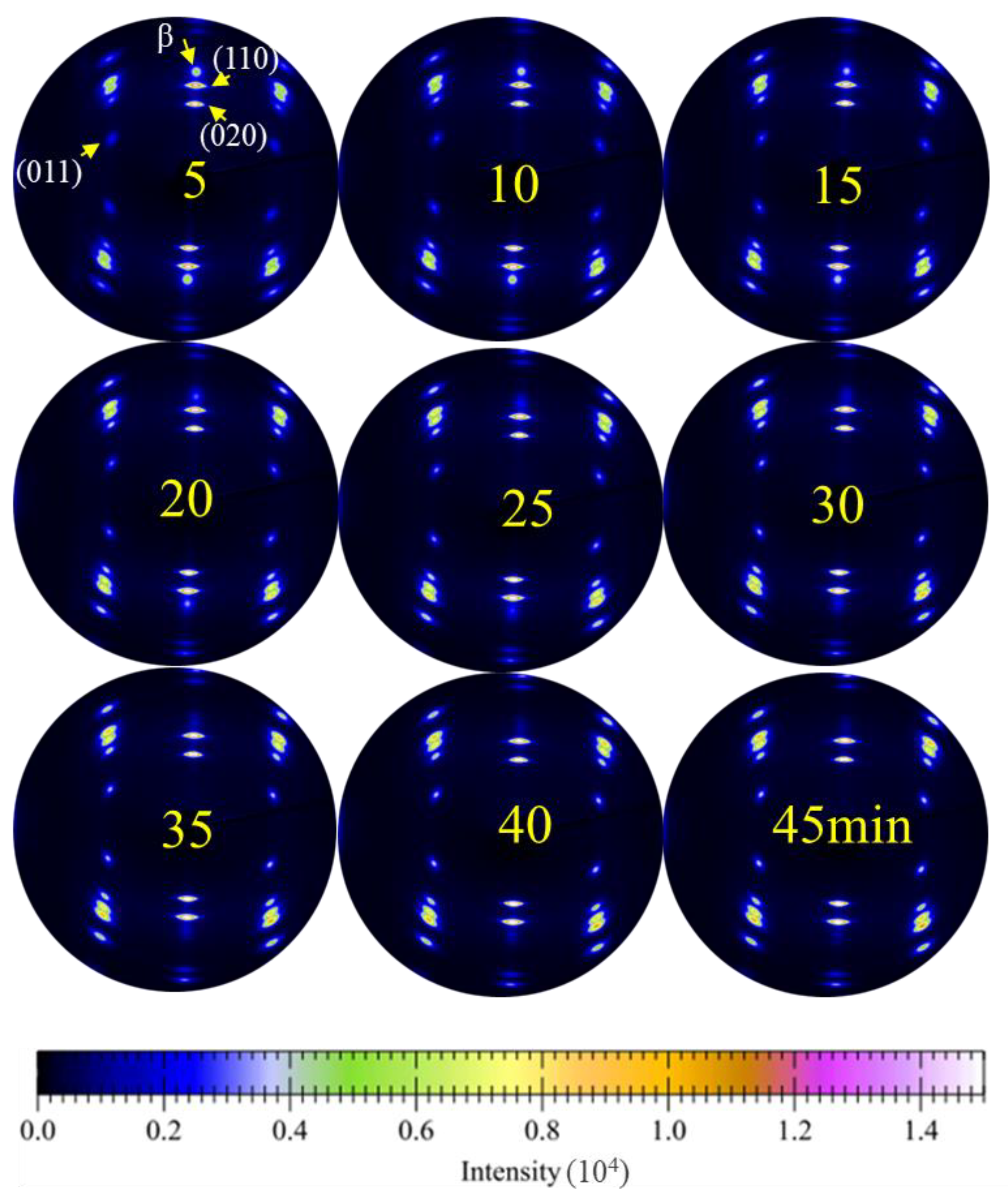 Polymers 15 01921 g002 Polymers 15 01921 g002