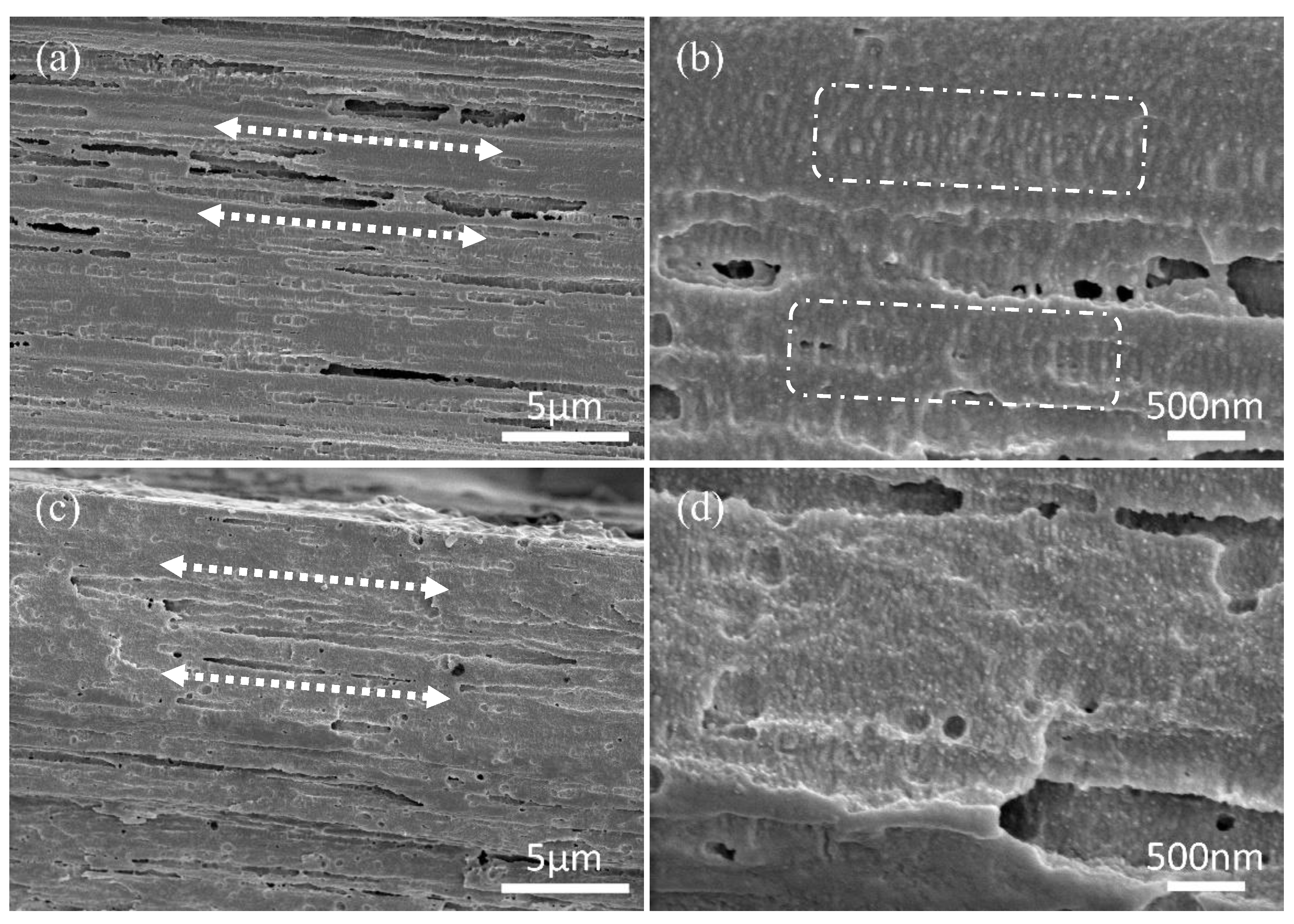 Polymers 15 01921 g009 Polymers 15 01921 g009