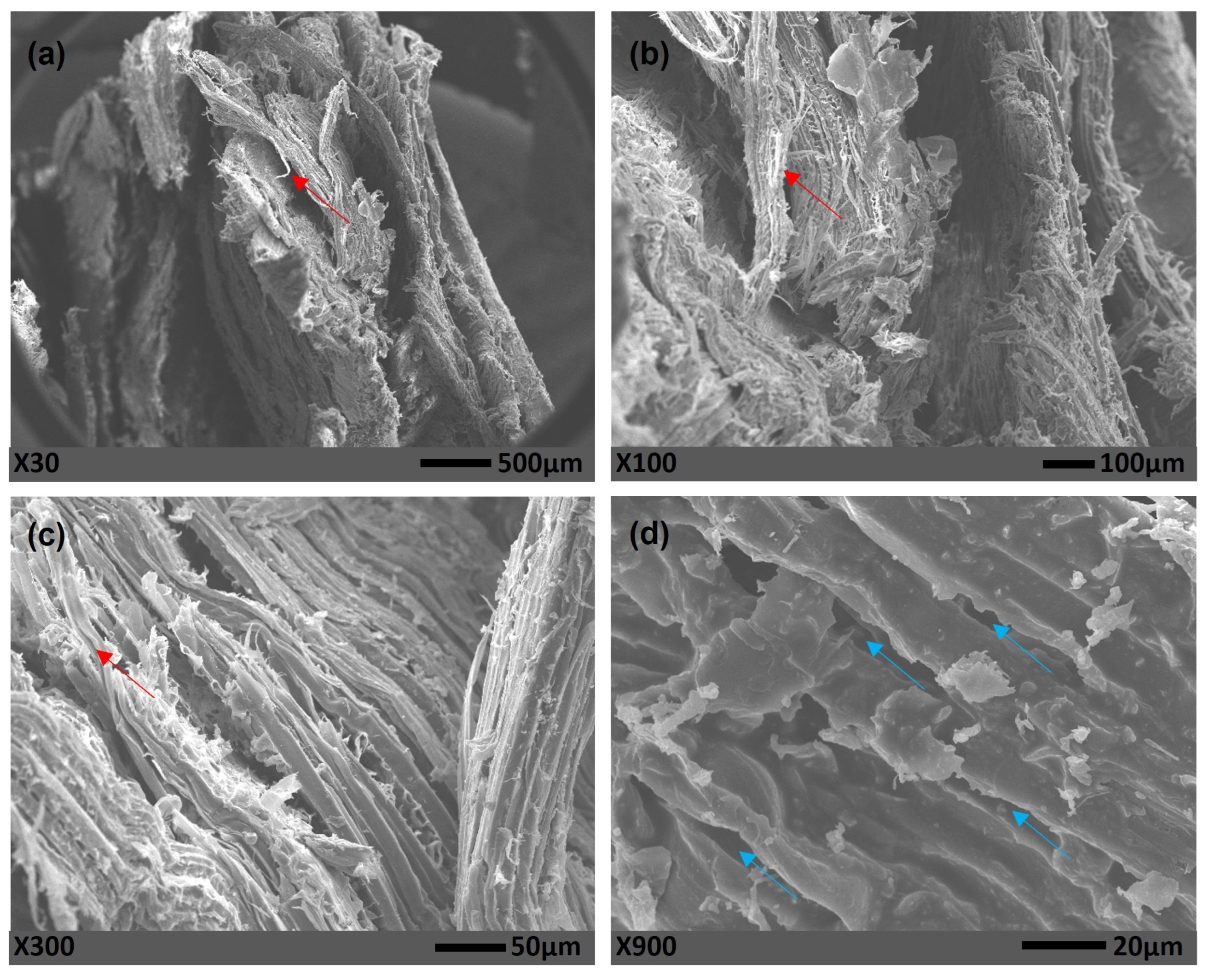Polymers 15 01931 g007
