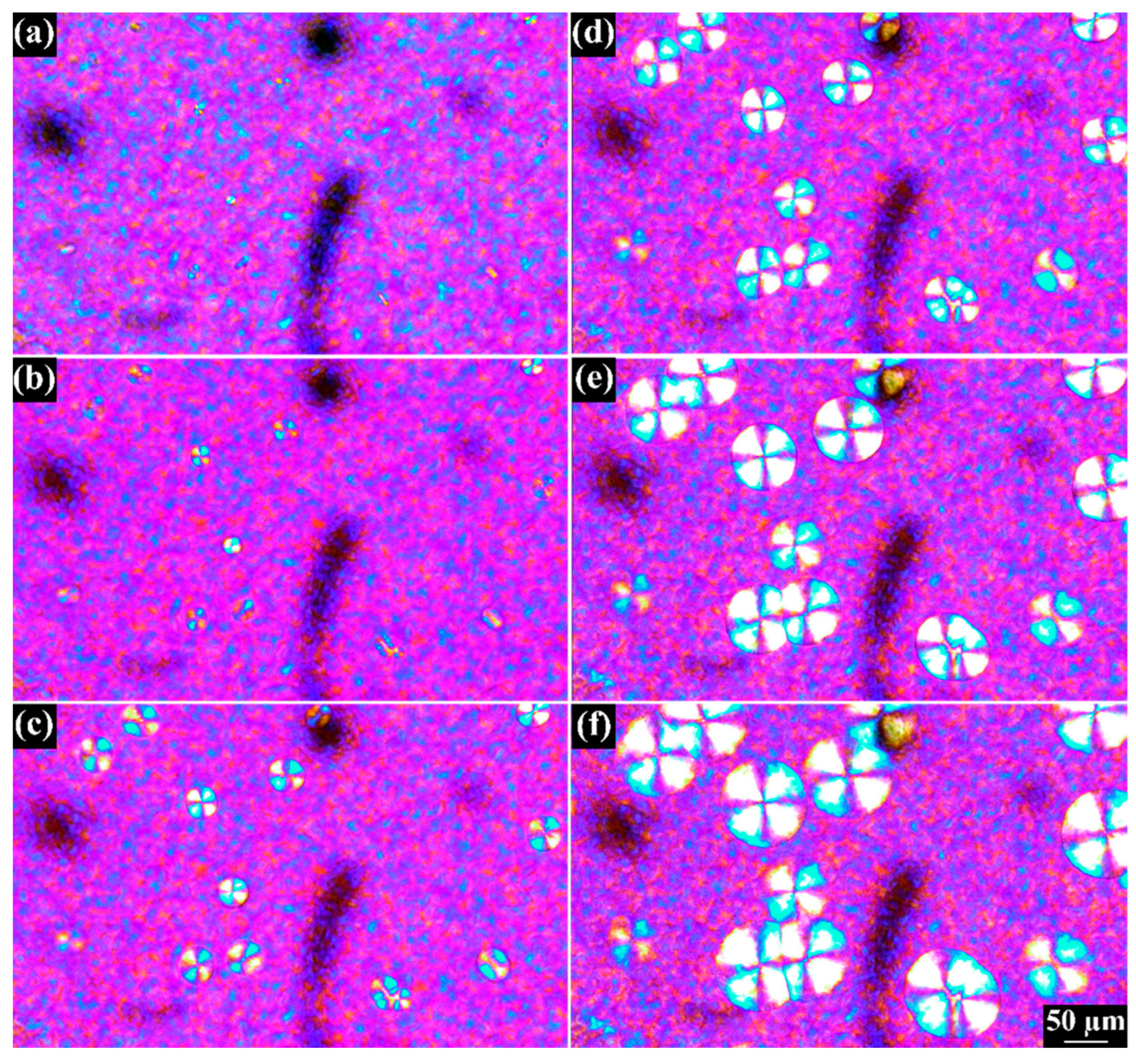 Polymers 15 01952 g011 Polymers 15 01952 g011