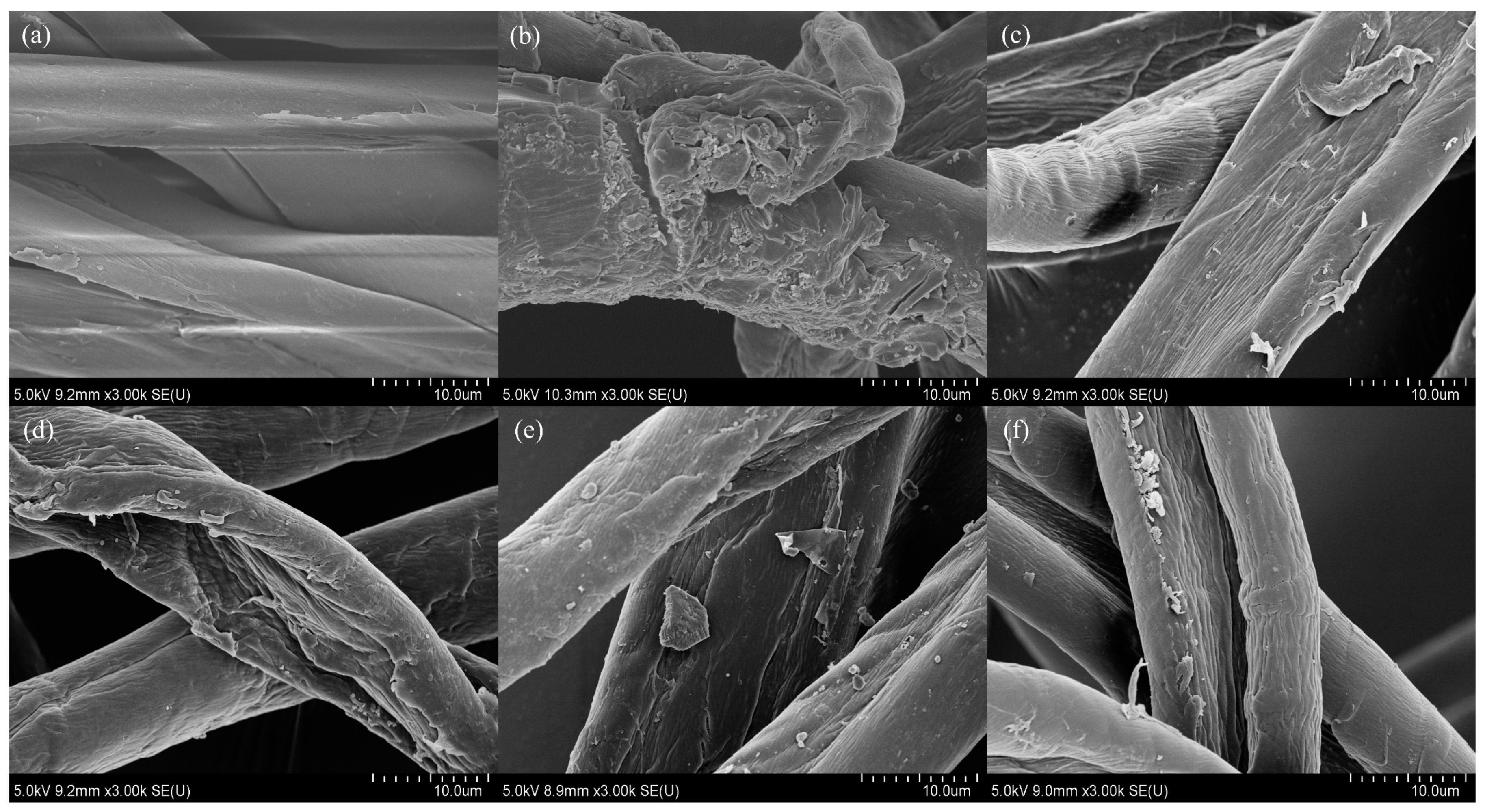 Polymers 15 01964 g002 Polymers 15 01964 g002