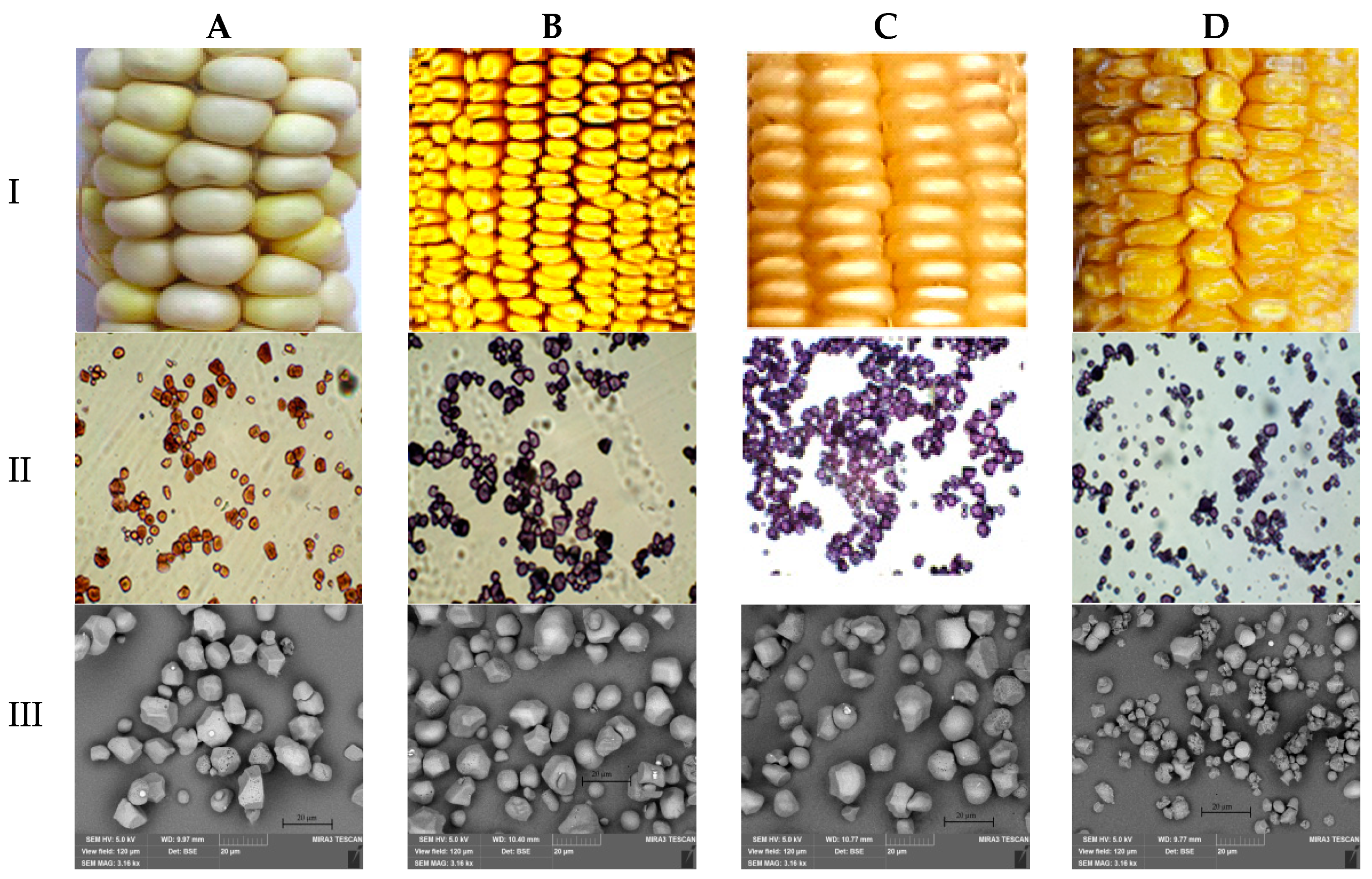 Impact of Mineral Ions and Their Concentrations on Pasting and Gelation of  Potato, Rice, and Maize Starches and Blends Thereof - Lemmens - 2021 -  Starch - Stärke - Wiley Online Library