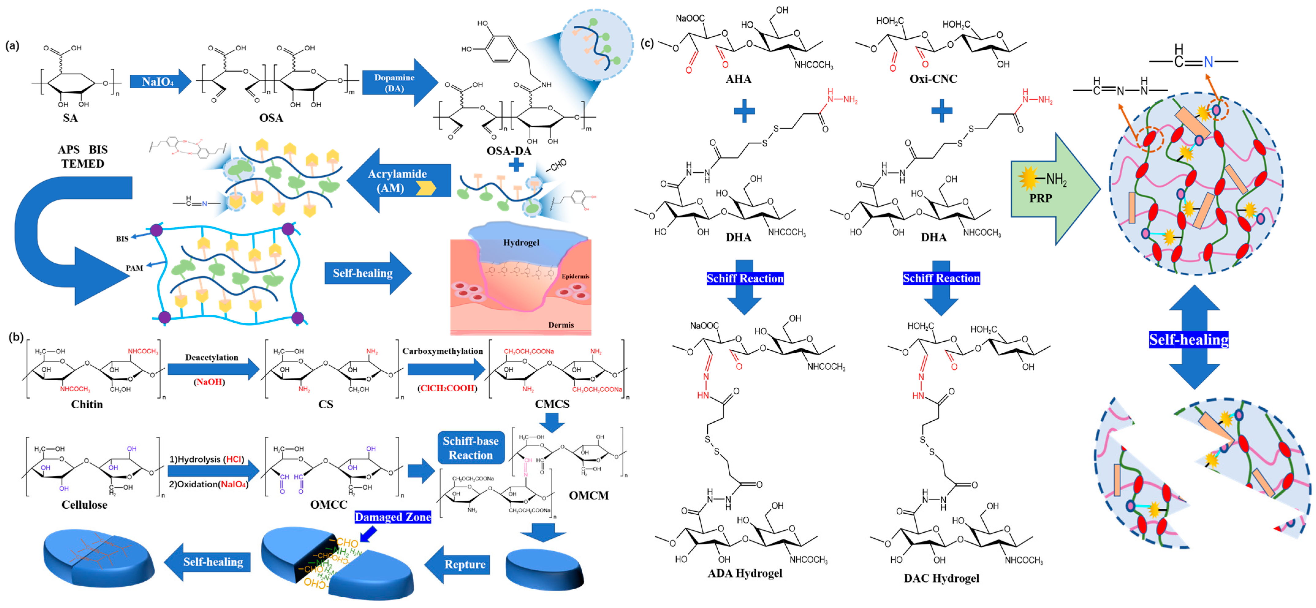 Polymers 15 02000 g004 Polymers 15 02000 g004