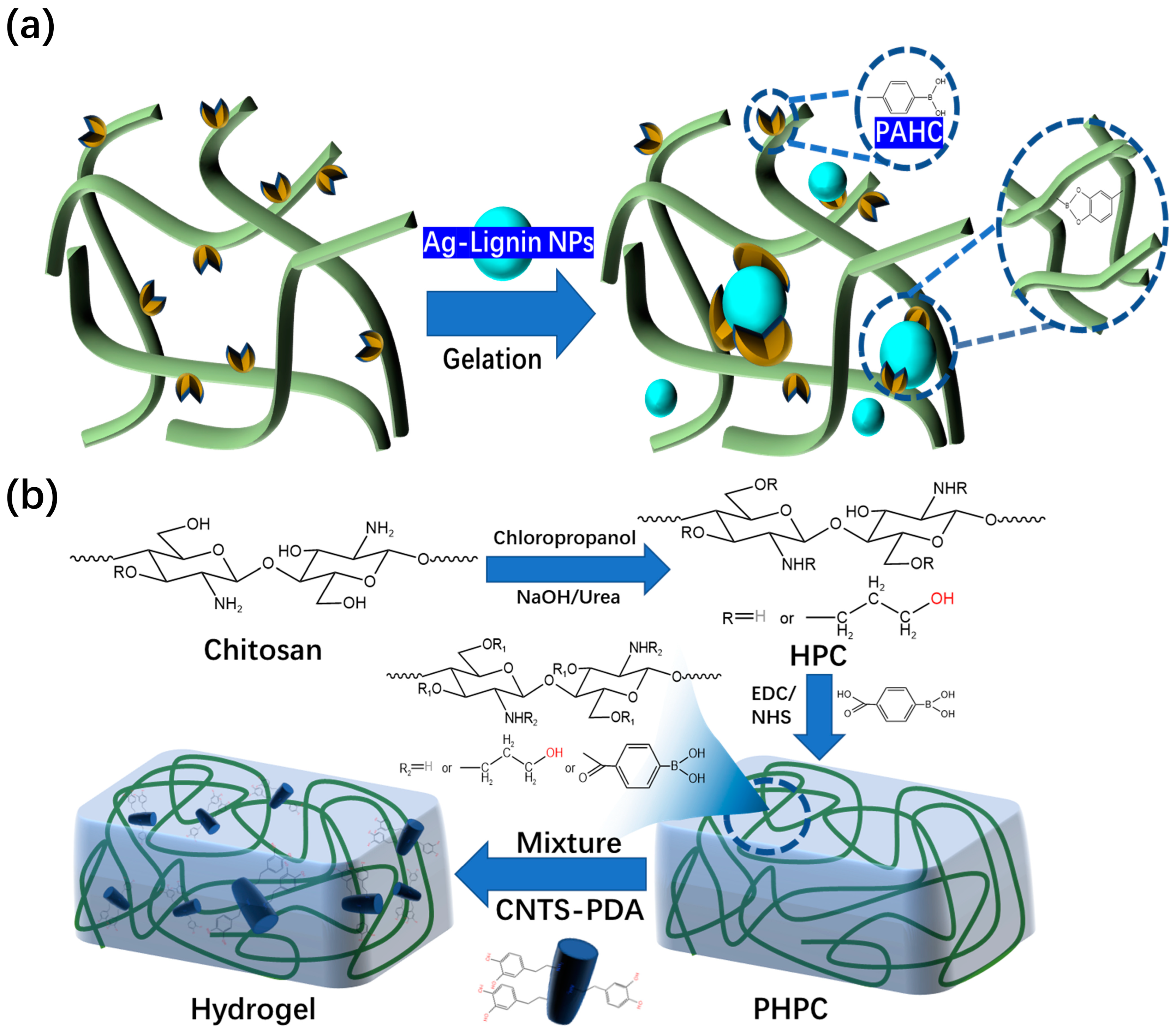 Polymers 15 02000 g007 Polymers 15 02000 g007